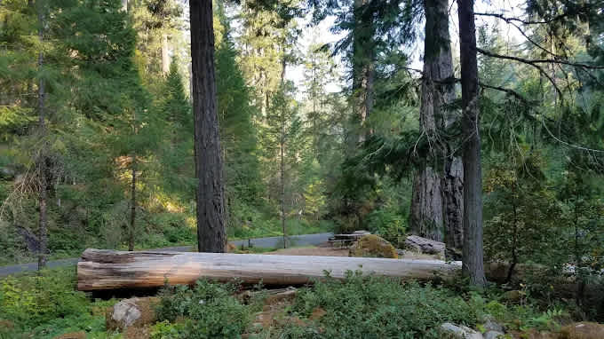 Caves Creek Campground
