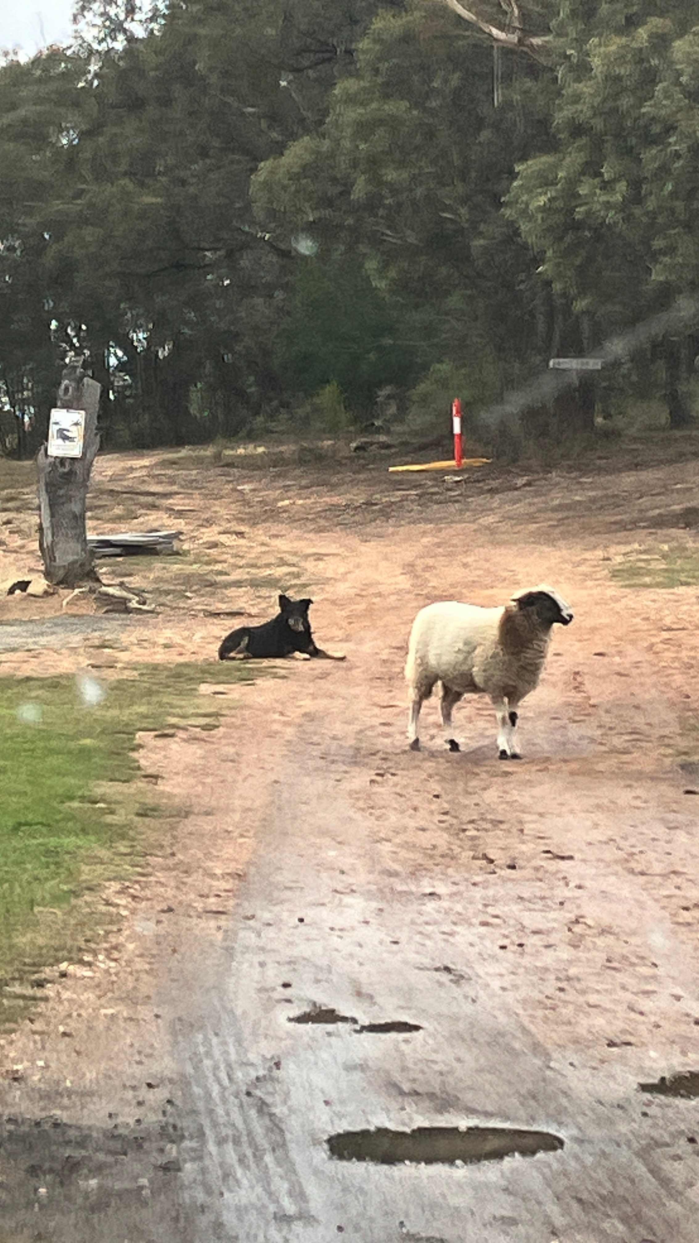 Welcome committee 