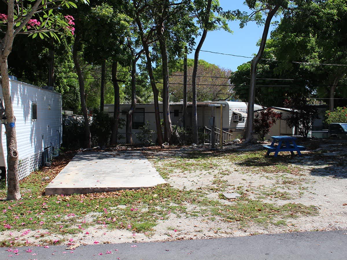 Kings Kamp RV Park and Marina