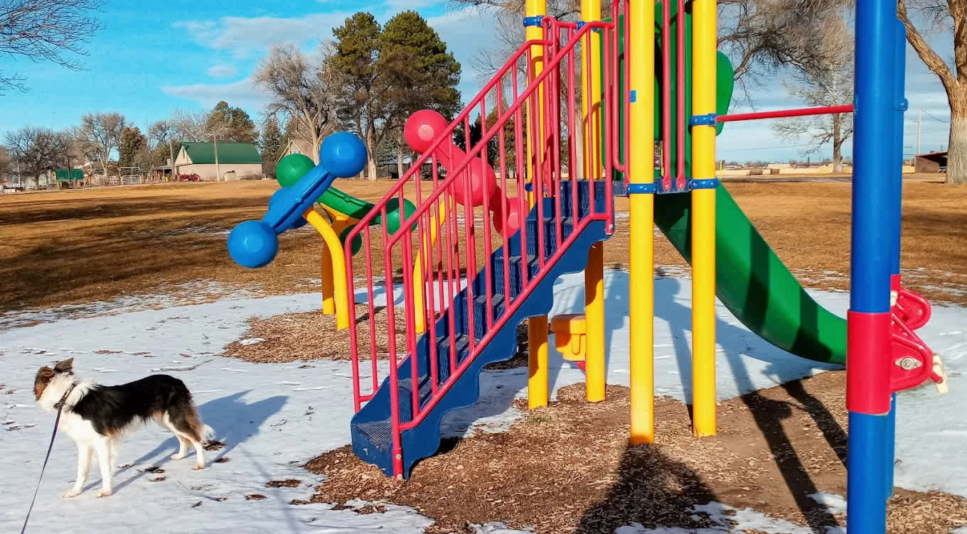 Pioneer Park
