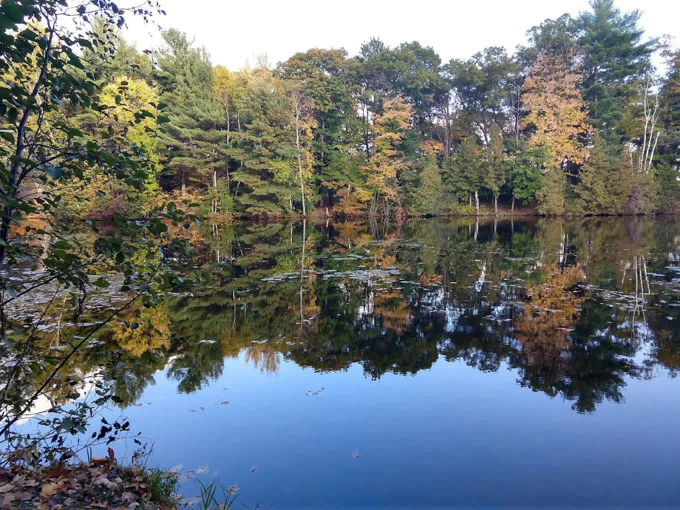 Pine Point County Park