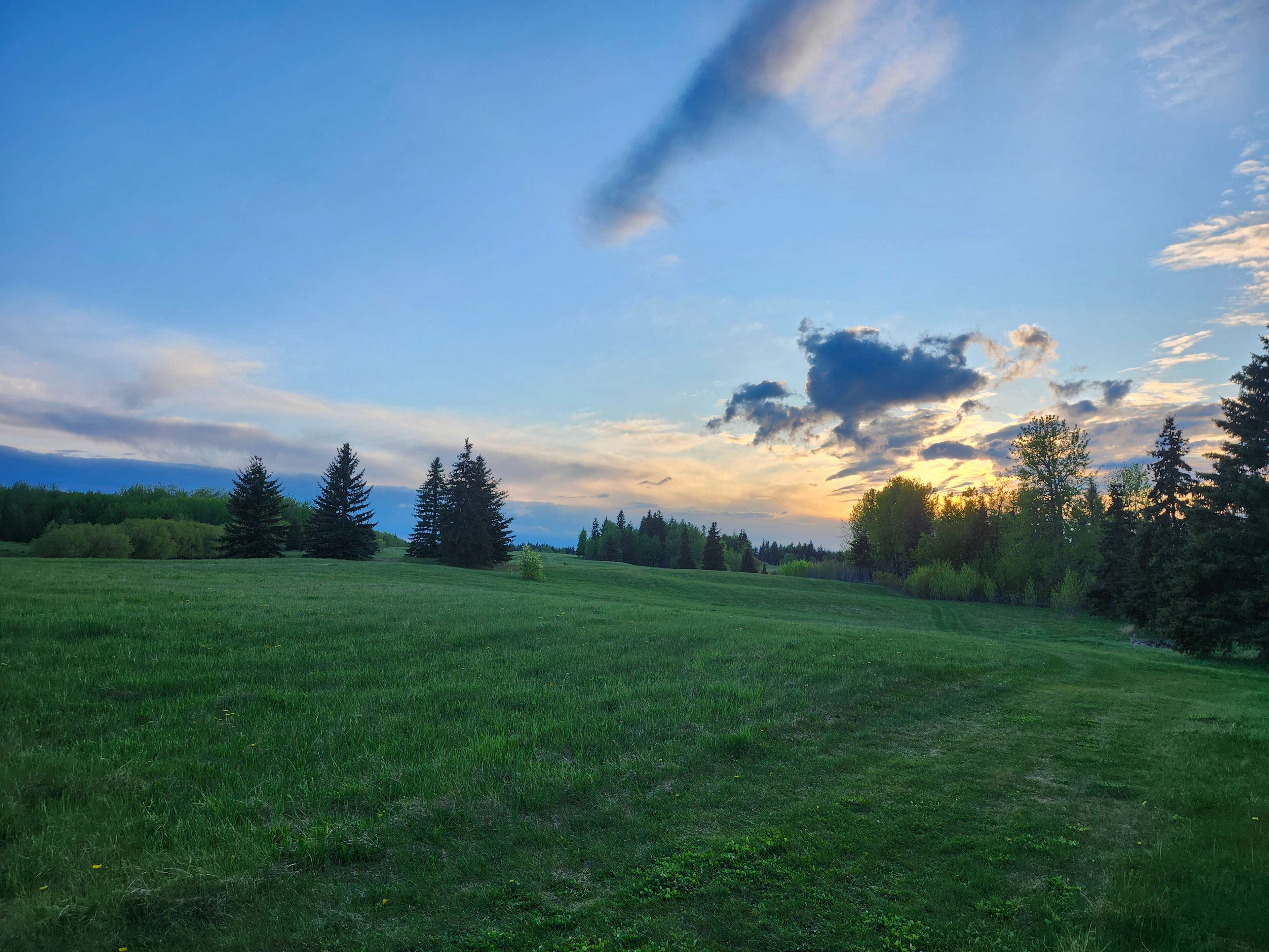 Whitewood RV Park