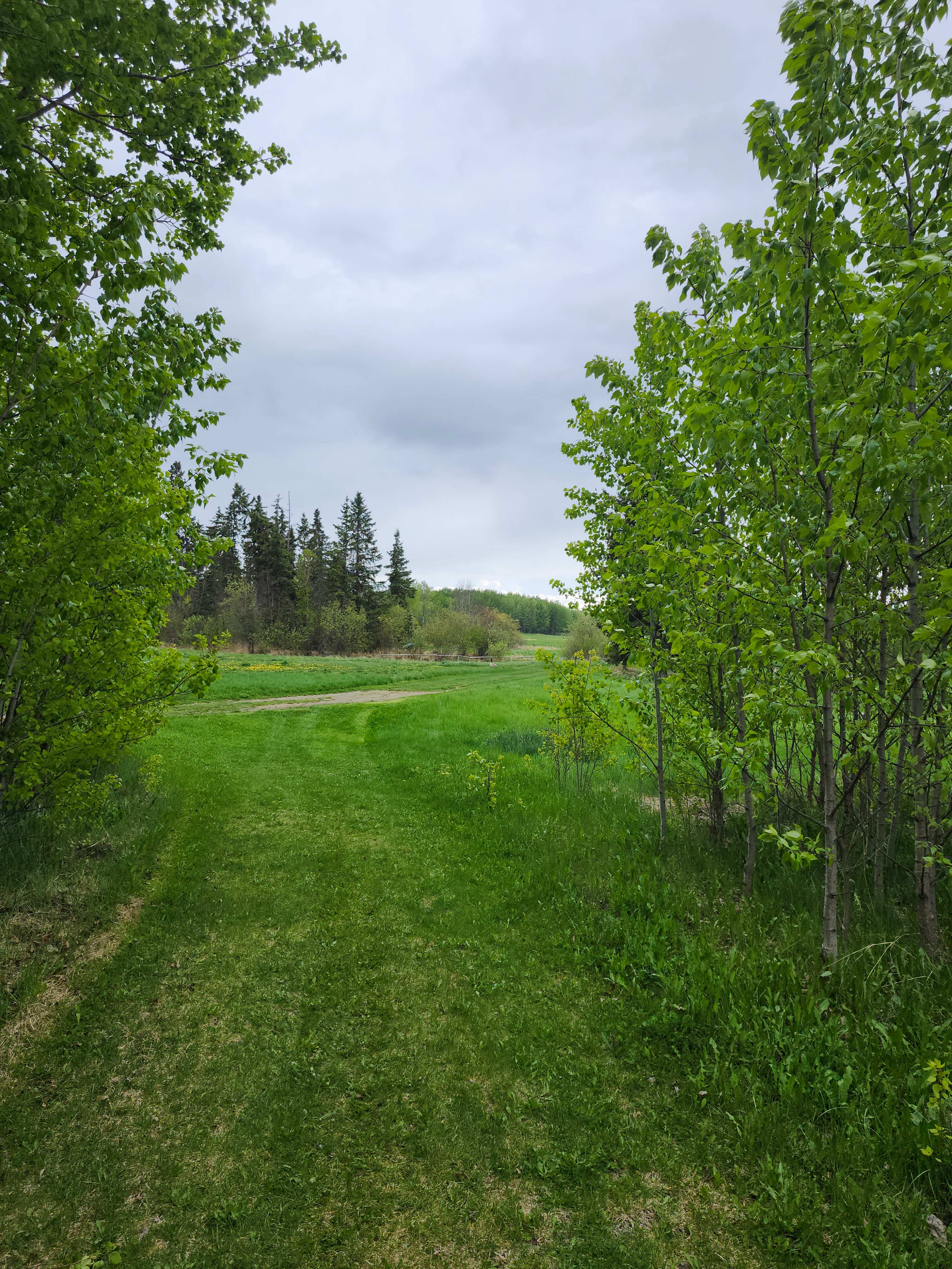 Whitewood RV Park