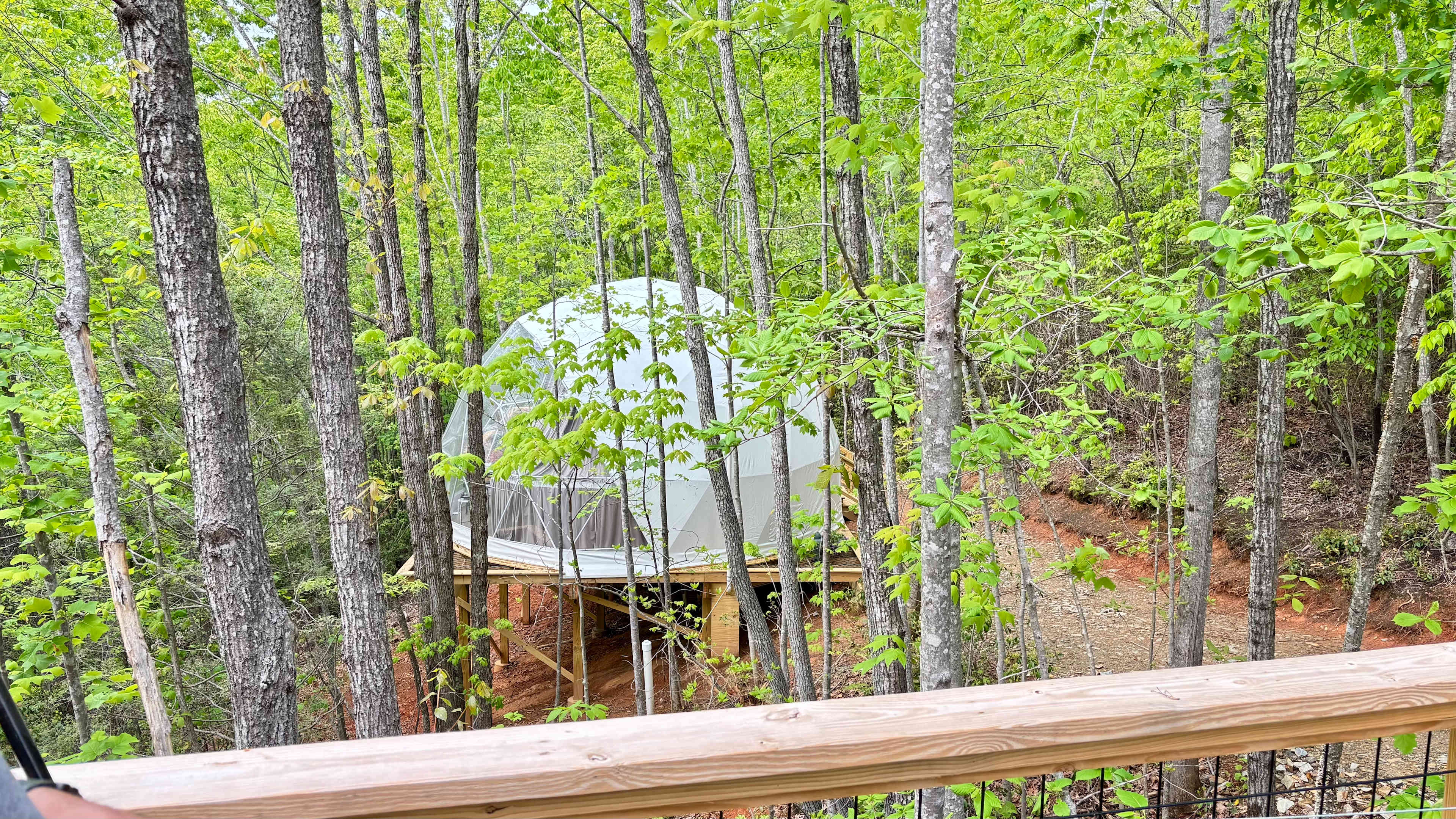 Soulshine Glamping