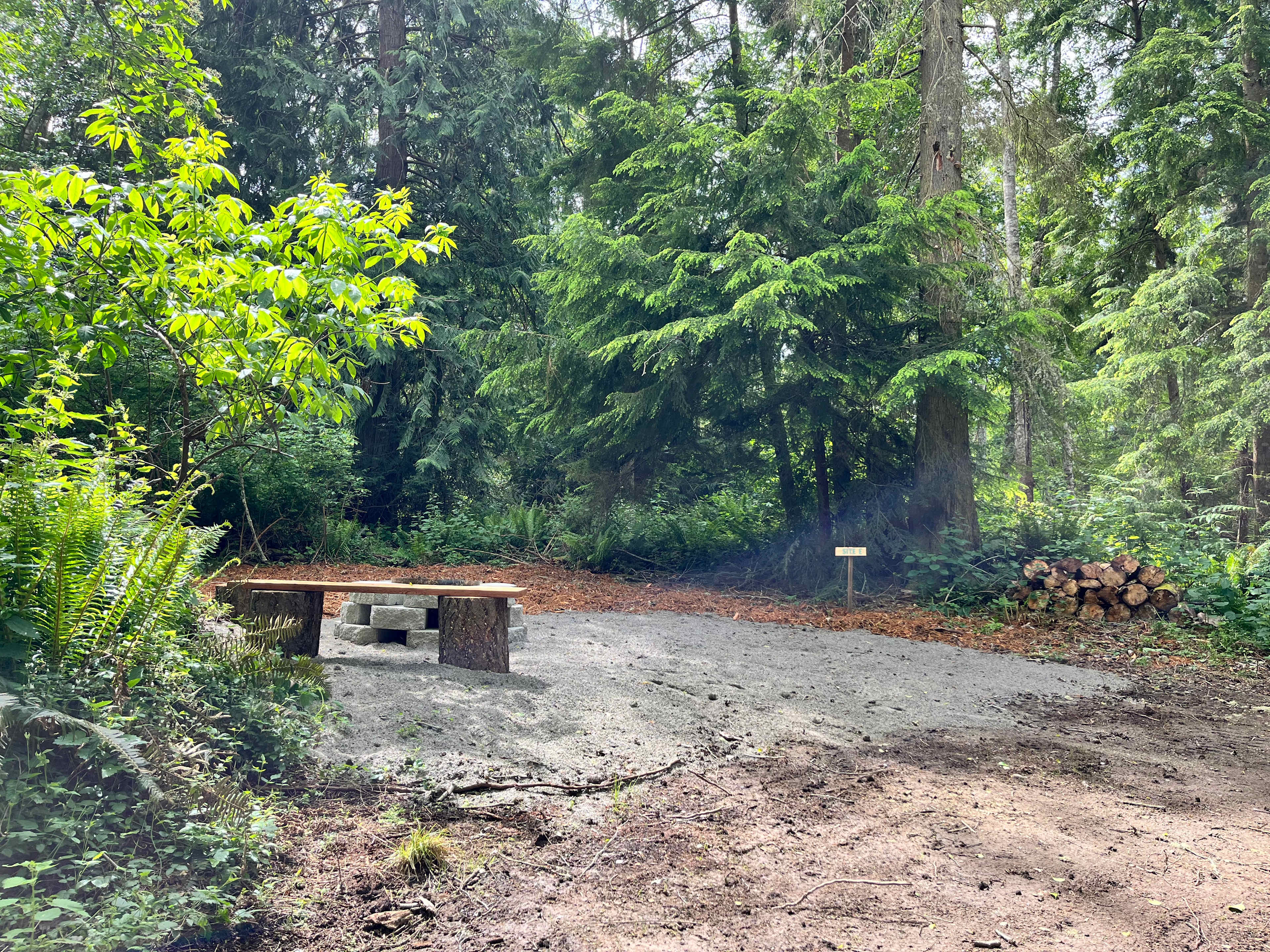 Picture of the site