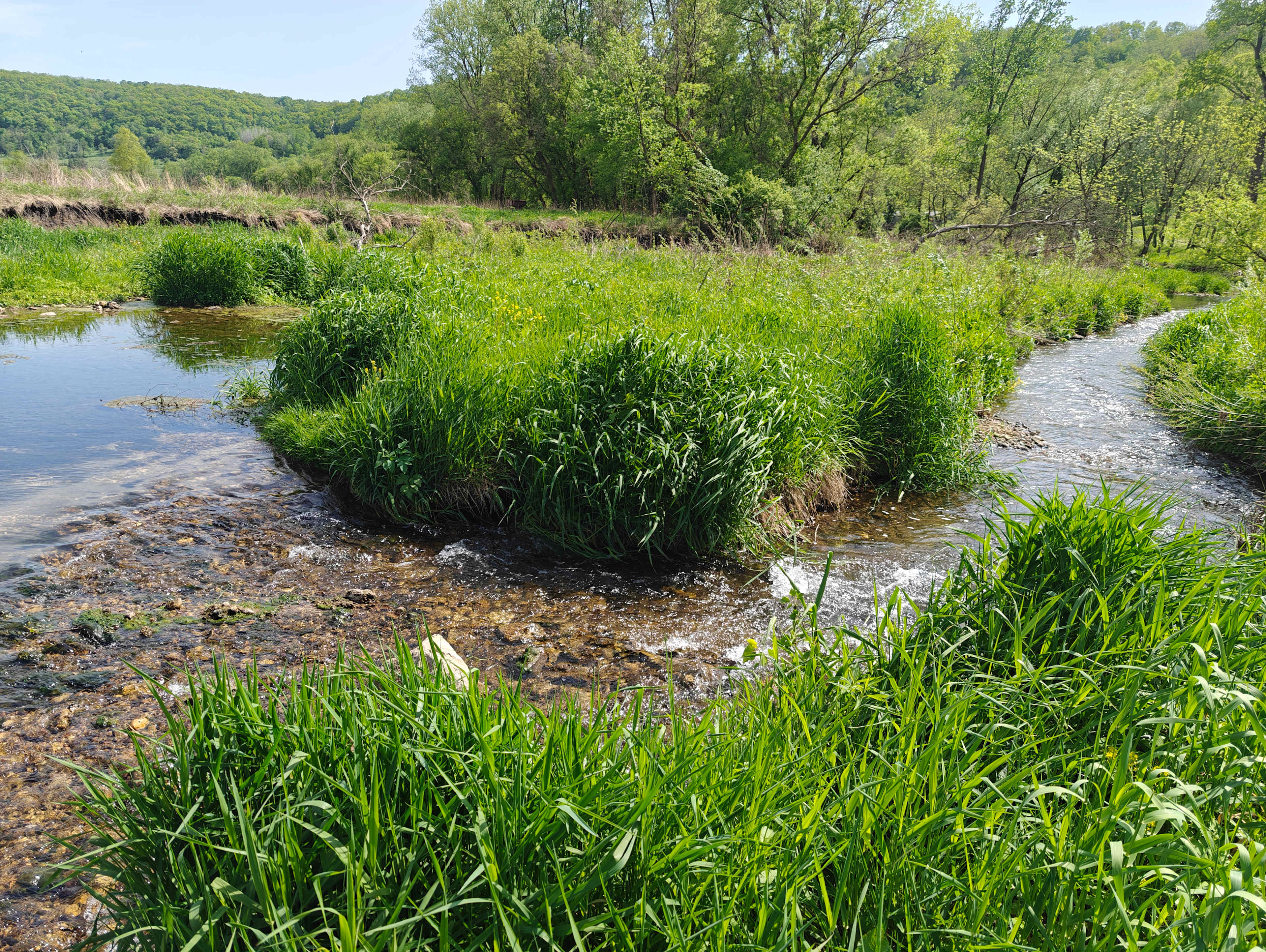 New Hartford trout camp