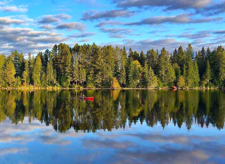 Roots RV Resorts - South Algonquin