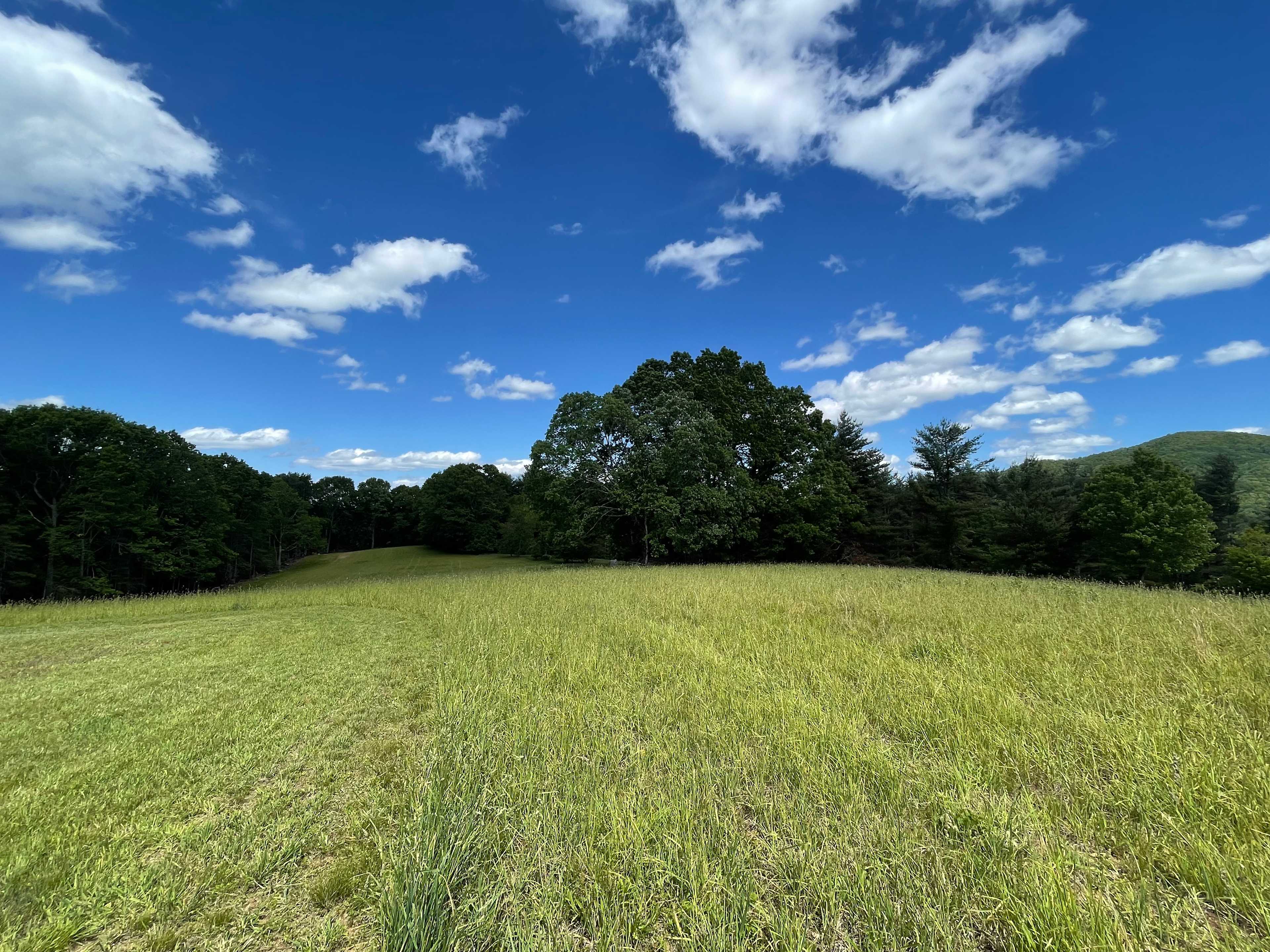 Peak A View Farm & Camp