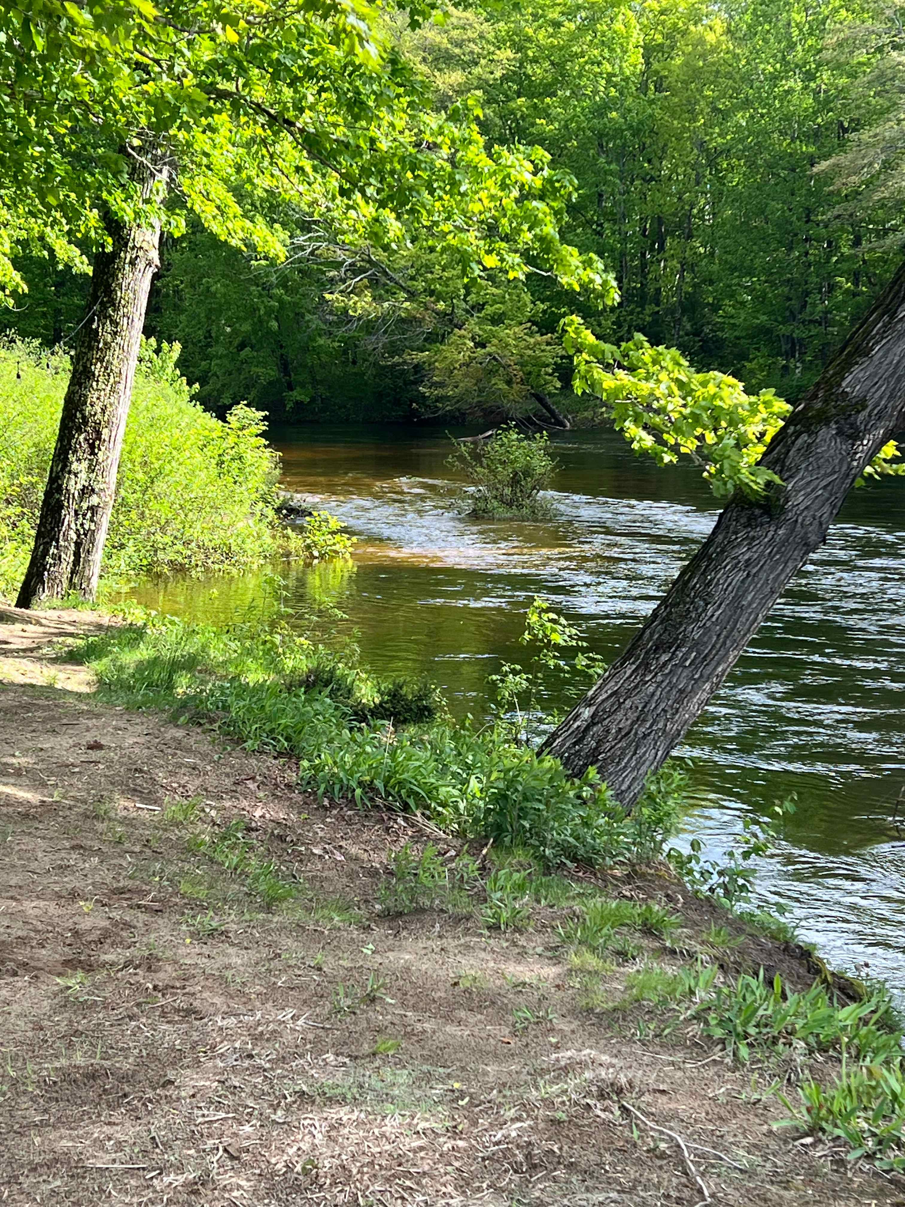 Horseshoe Bend NH