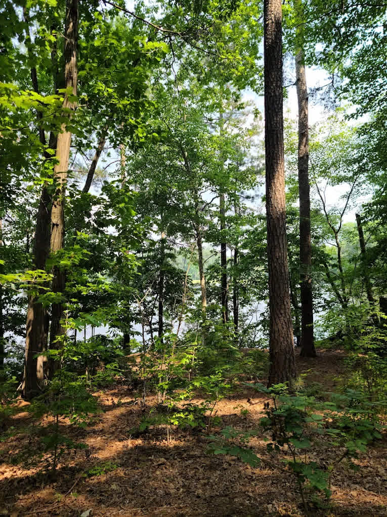 Goodwins RV Campground
