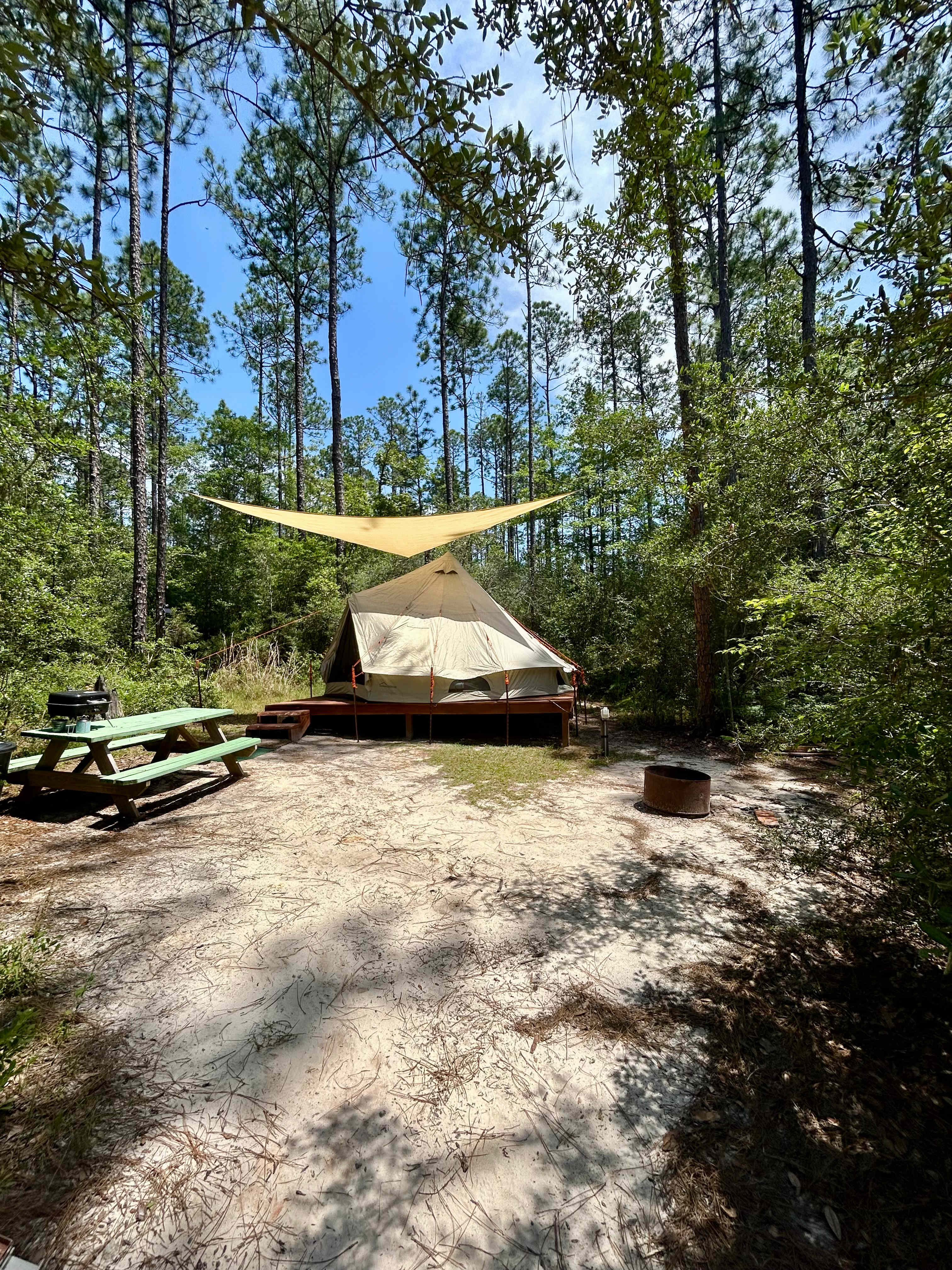 Picture of the site