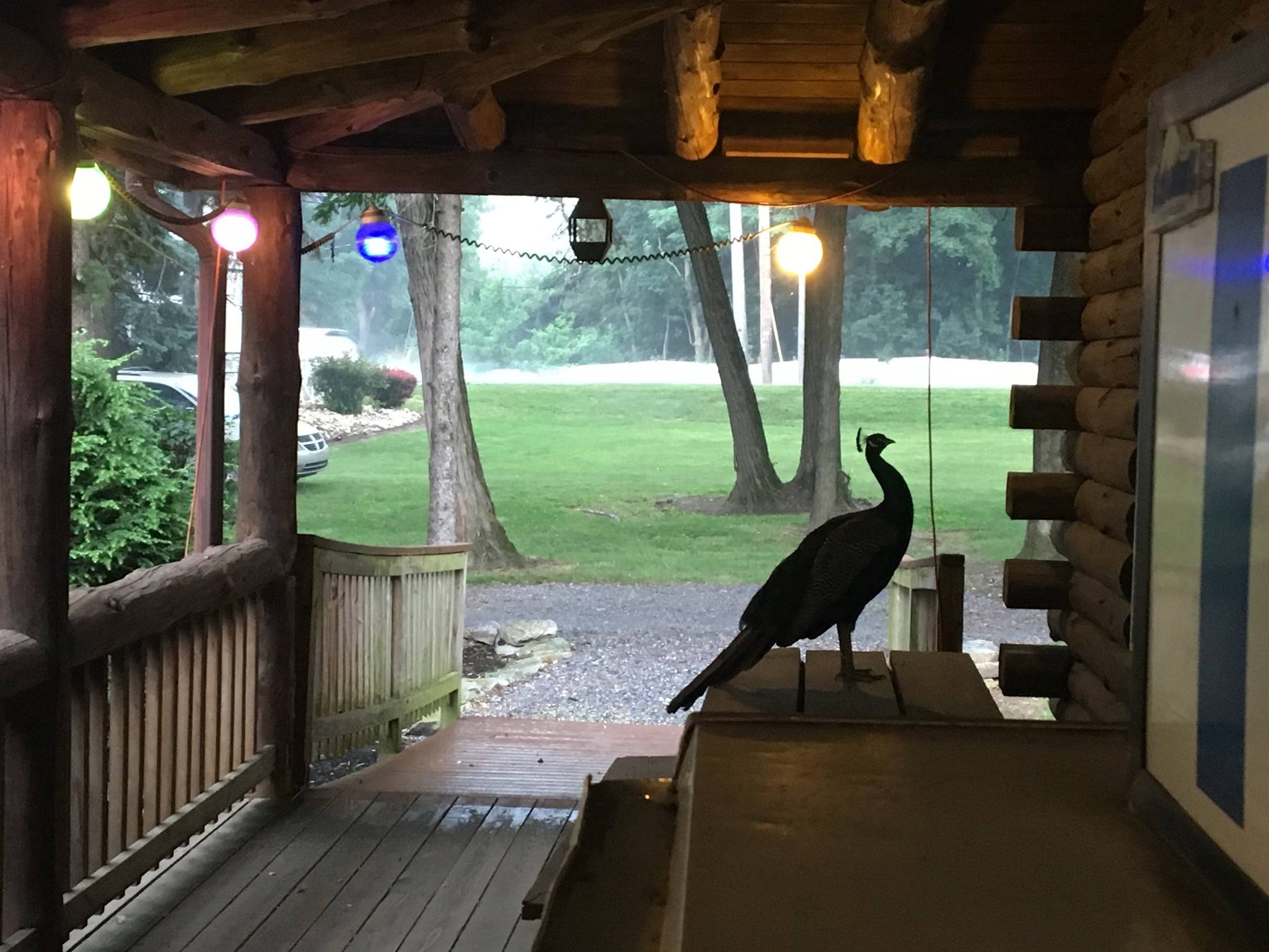 Roamers Retreat Campground