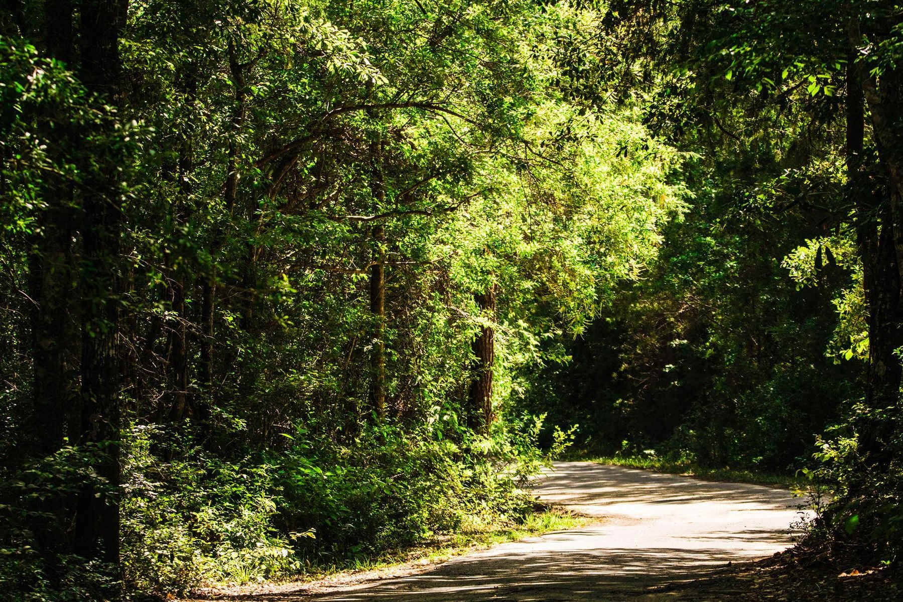 Bluff Creek Campground