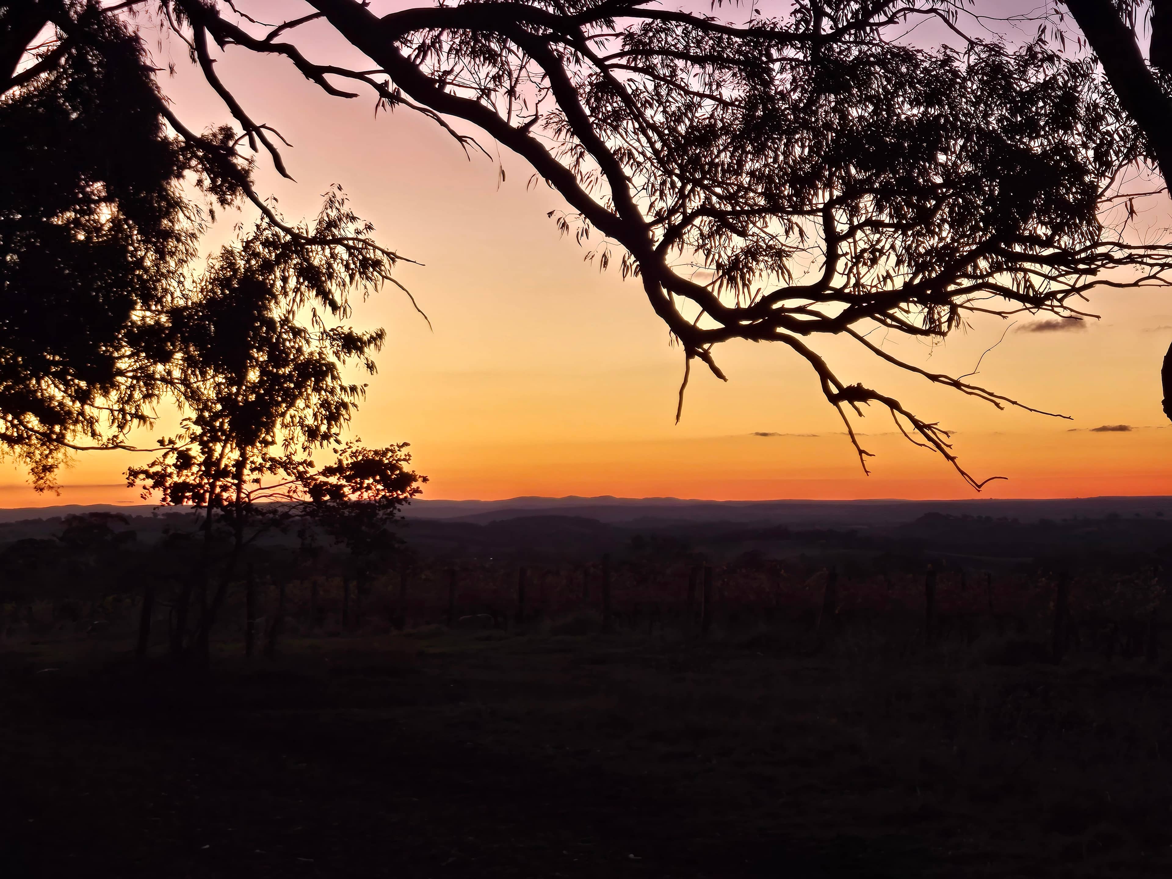 Cargo Road Wines