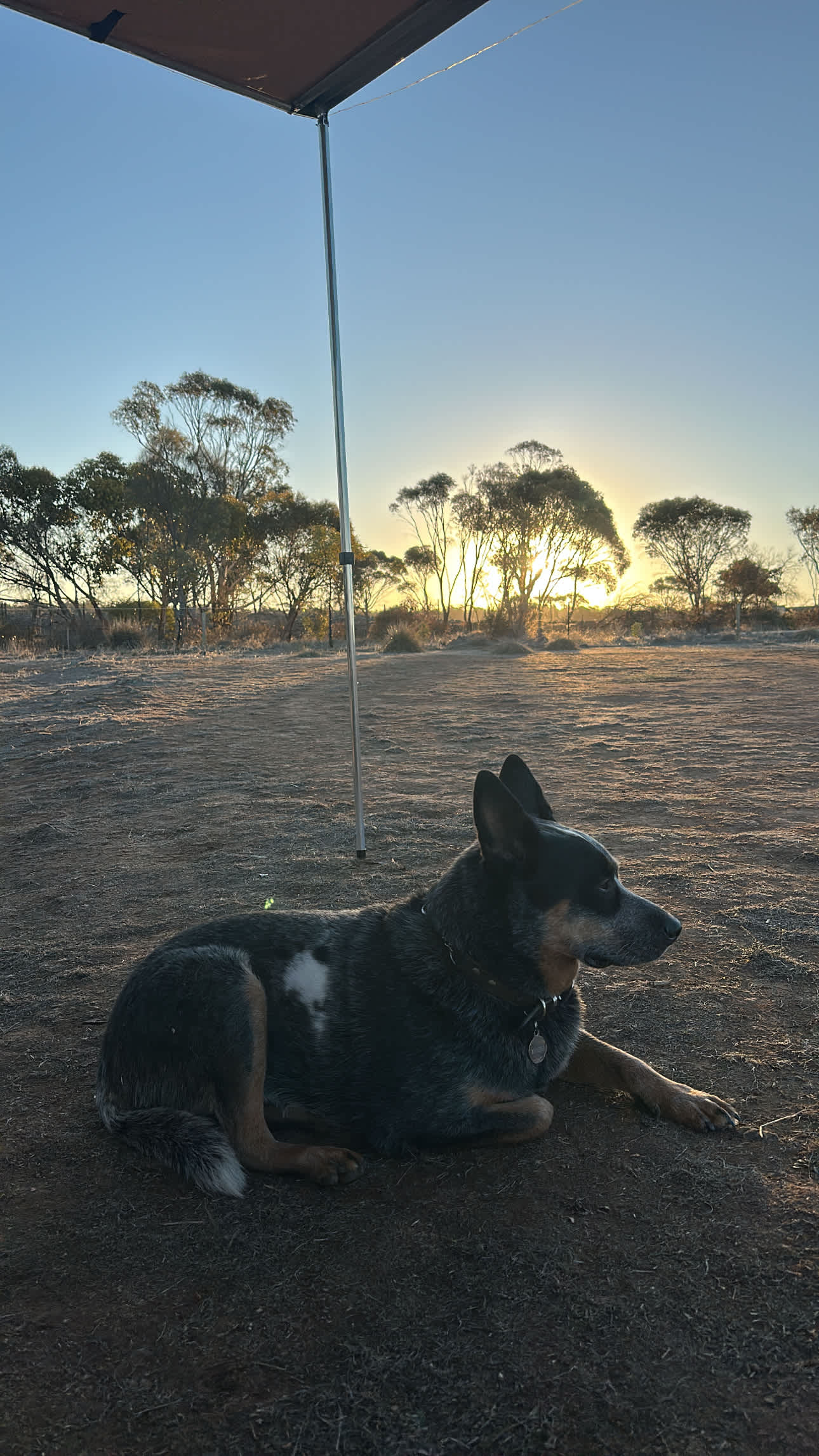Harry’s Rockleigh Bush Camp