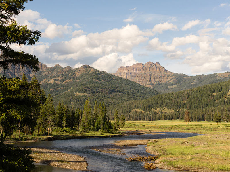 Bighorn RV Park