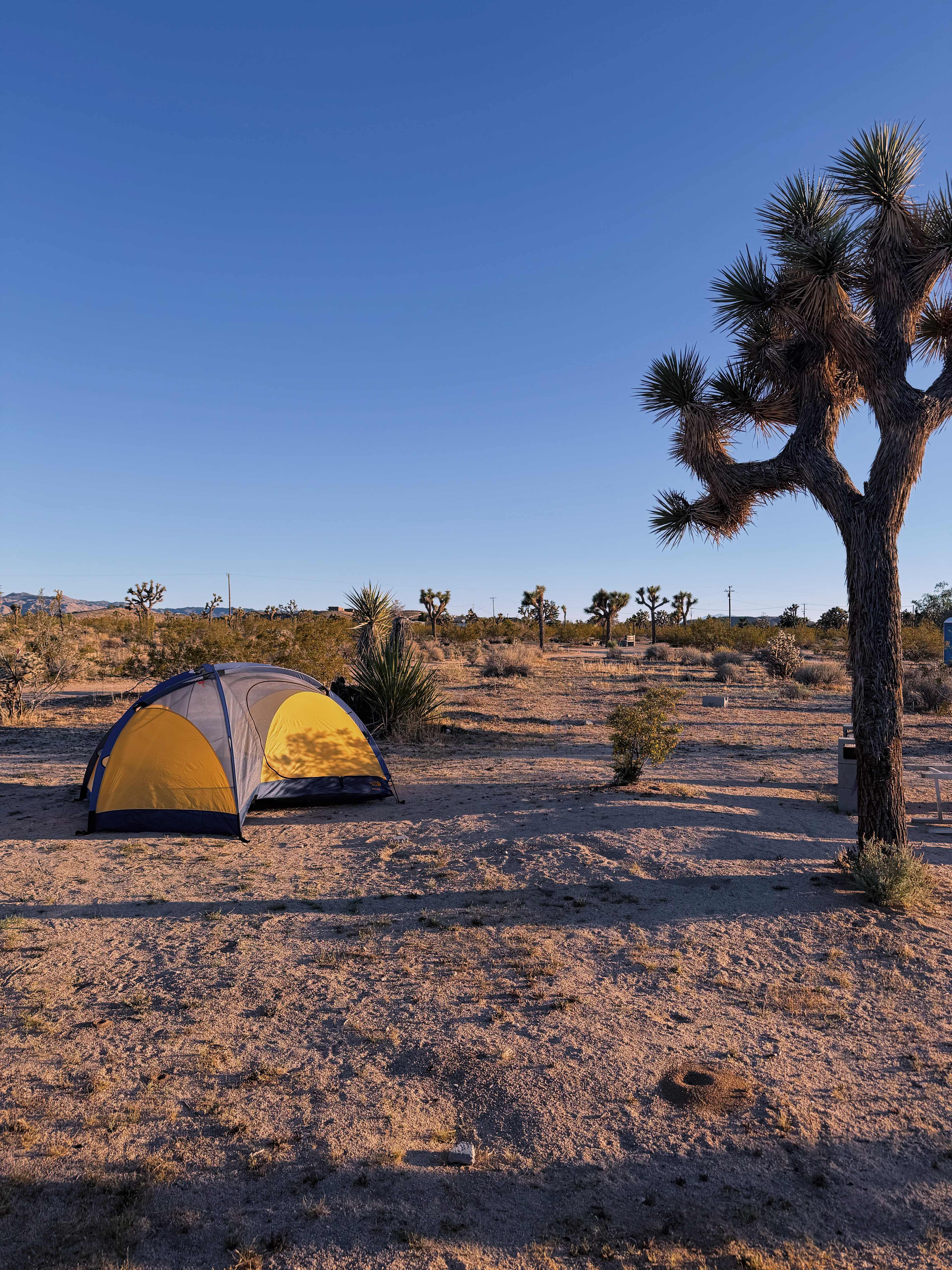 Caribbean Mojave Escape
