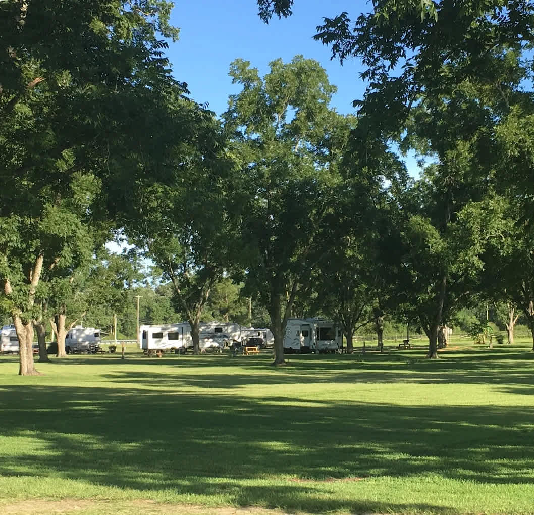 Zenith Stables and Campground