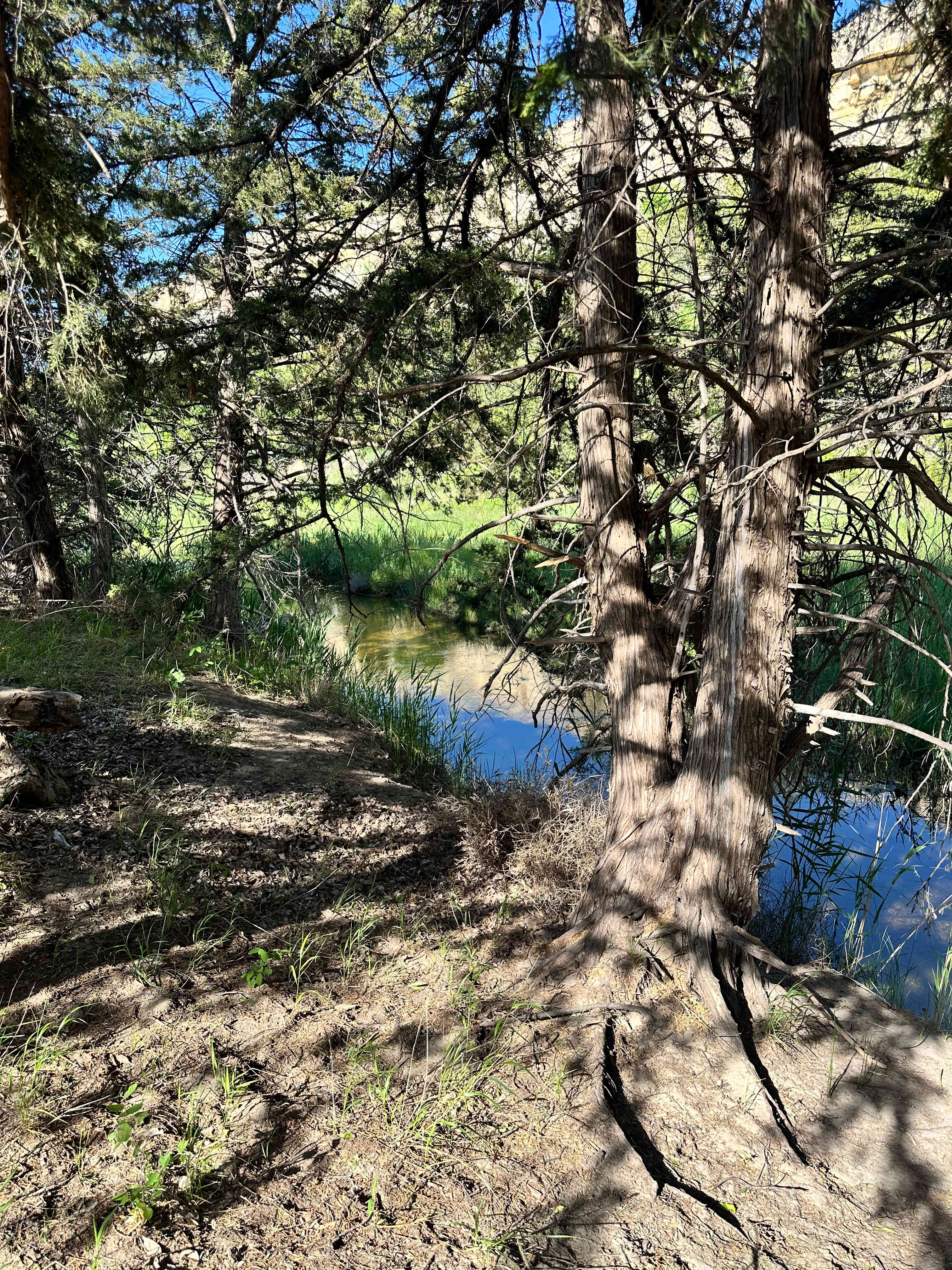 C2T Ranch on the Saline River