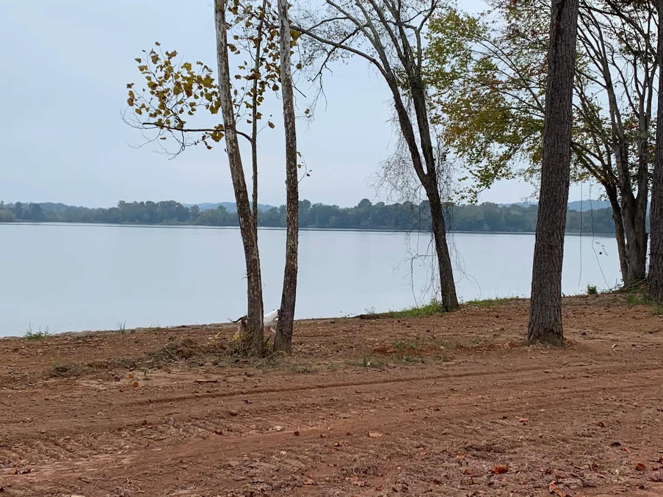 Rogers Creek RV Park and Campground
