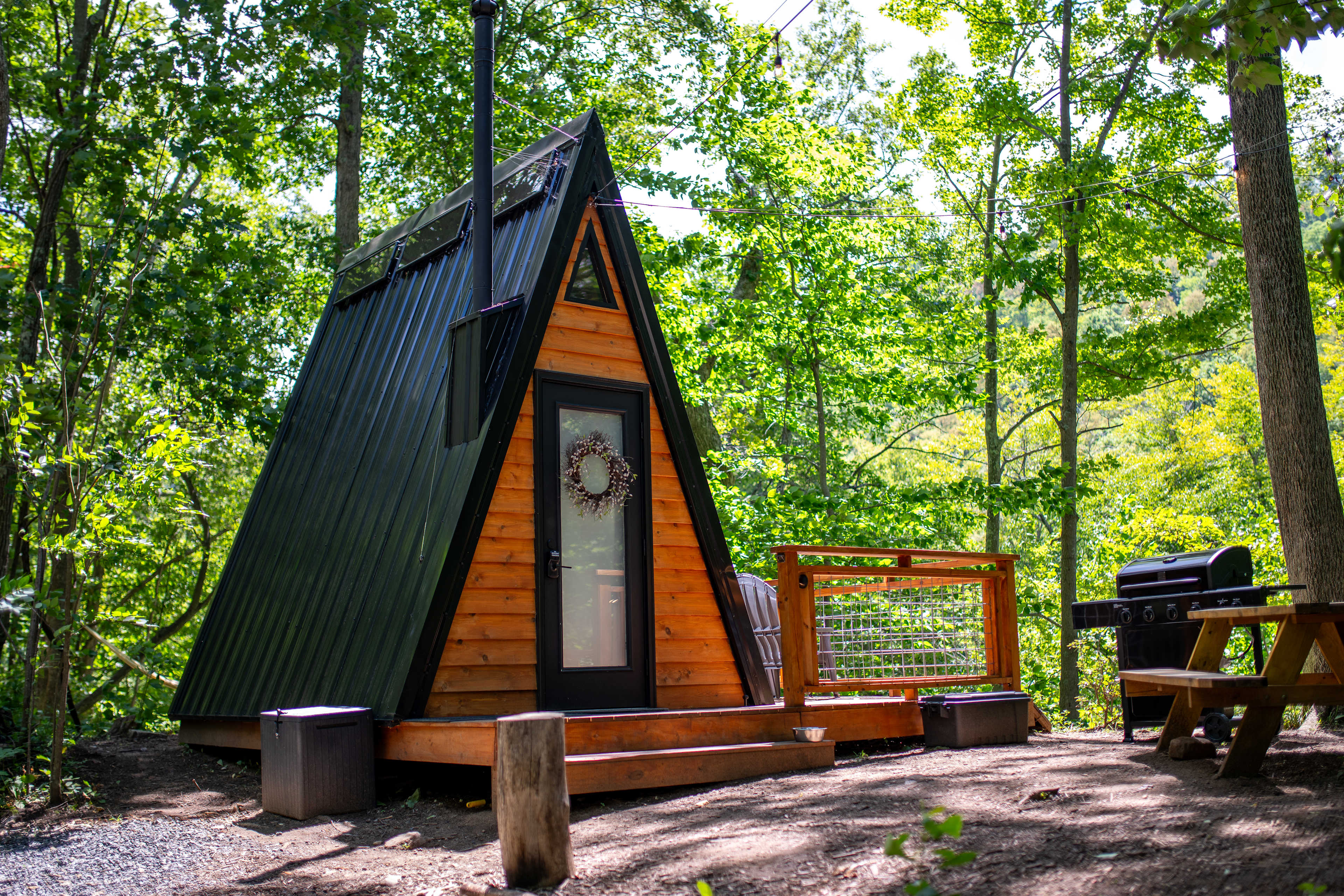 The Wildflower on Abrams Creek