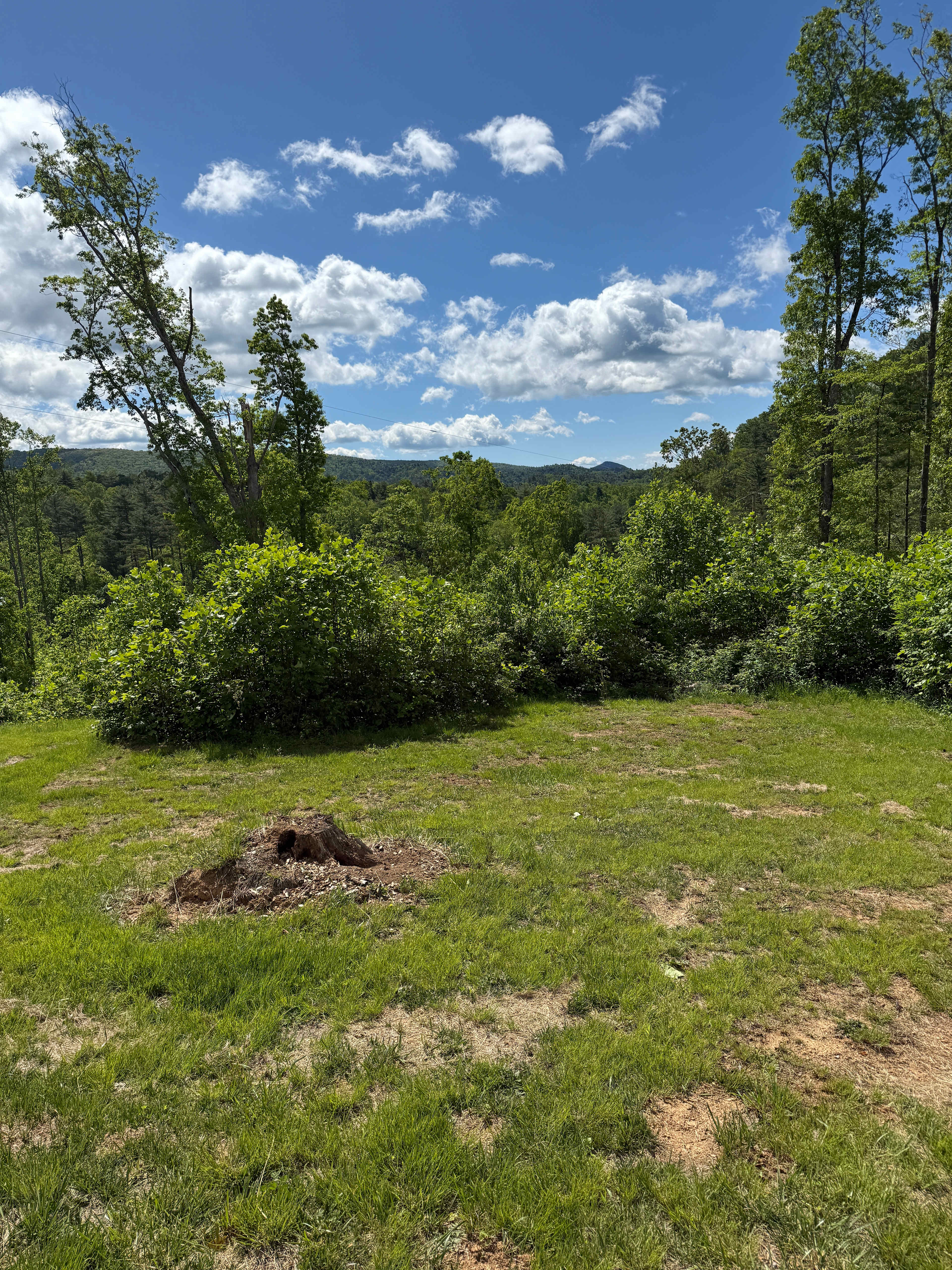 Wiseman Ridge Boutique RV Park