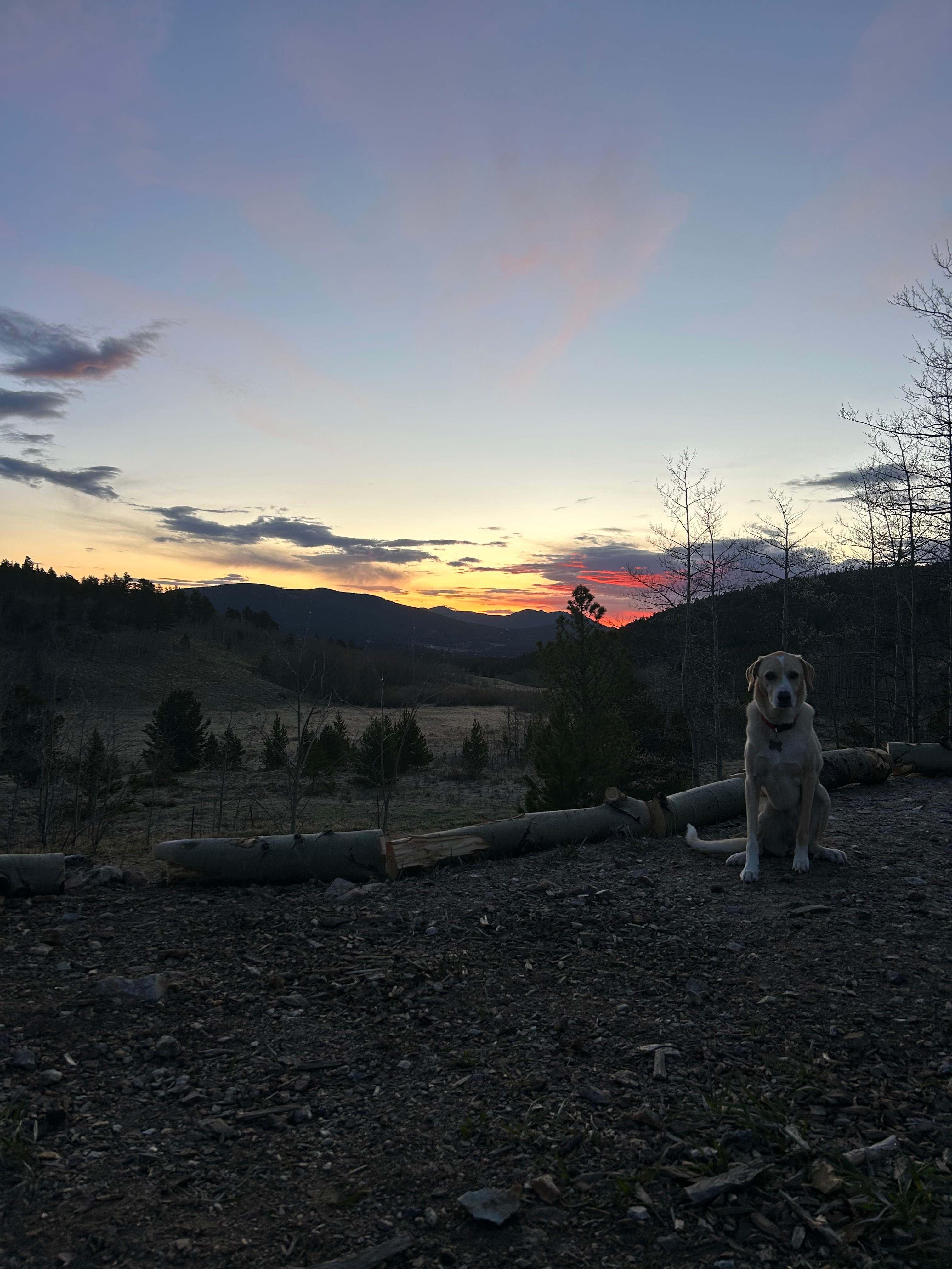 Little Scraggy Camp