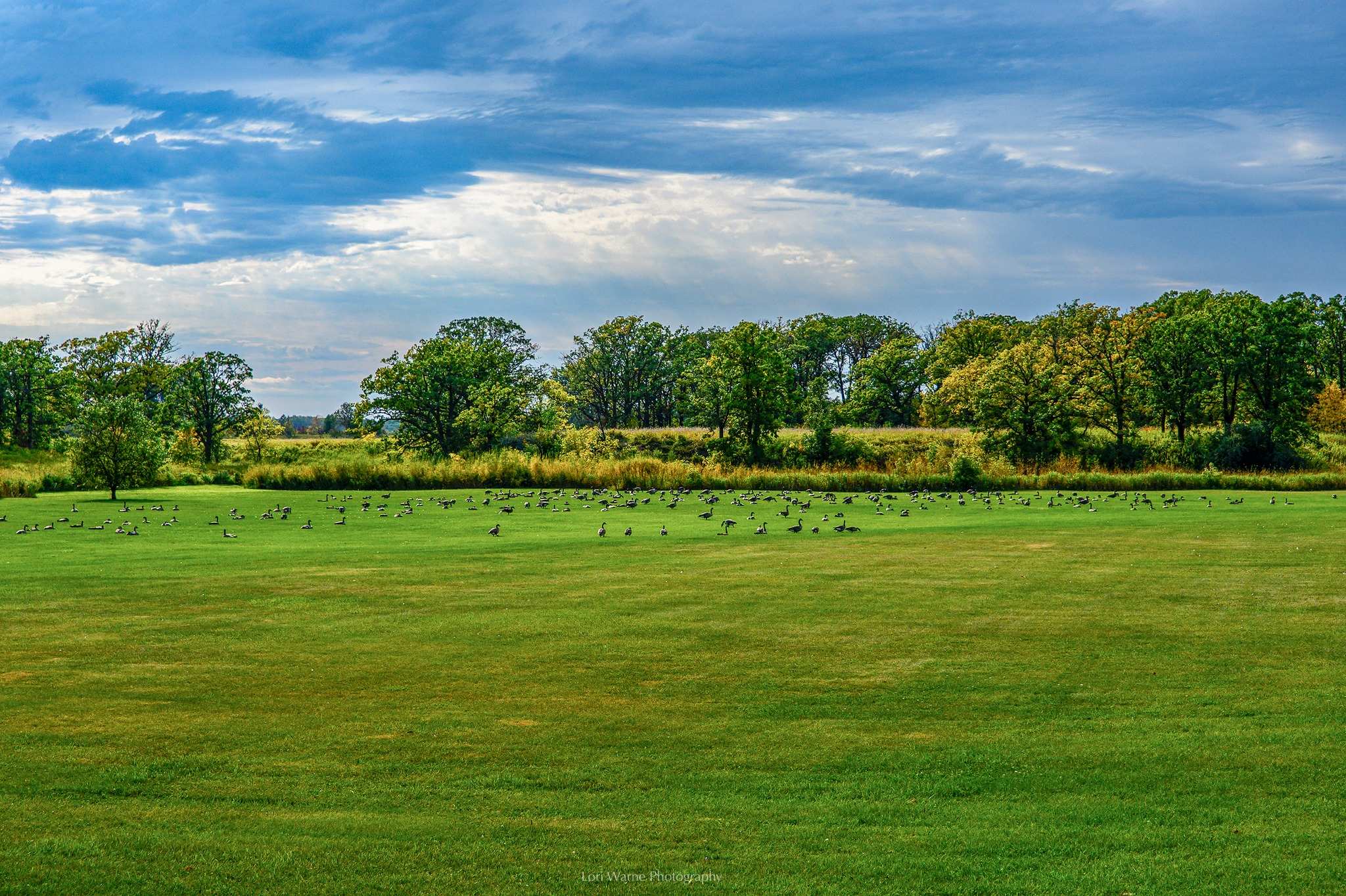 Newfolden City Park