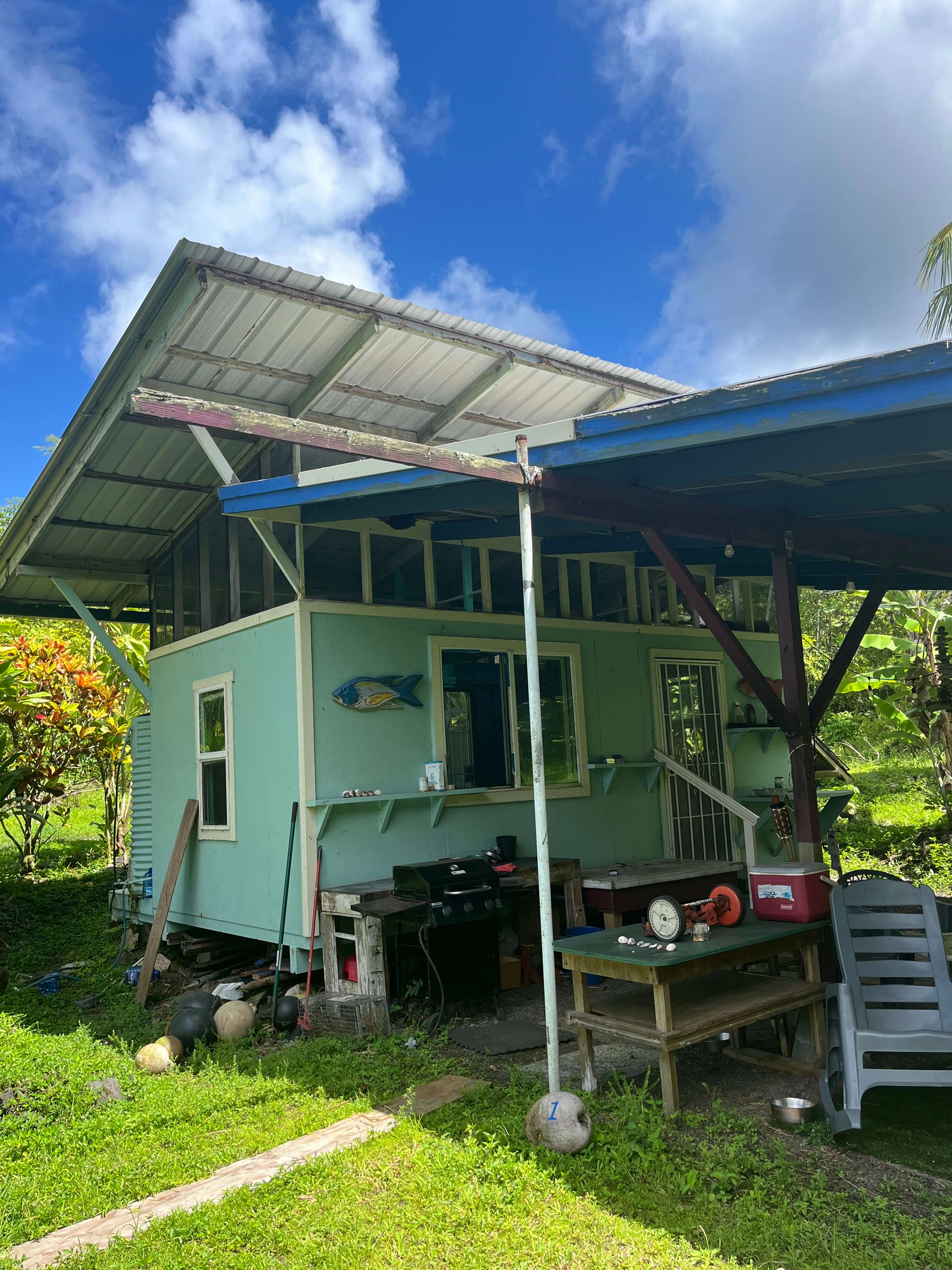 Untouched Hawaiian Land