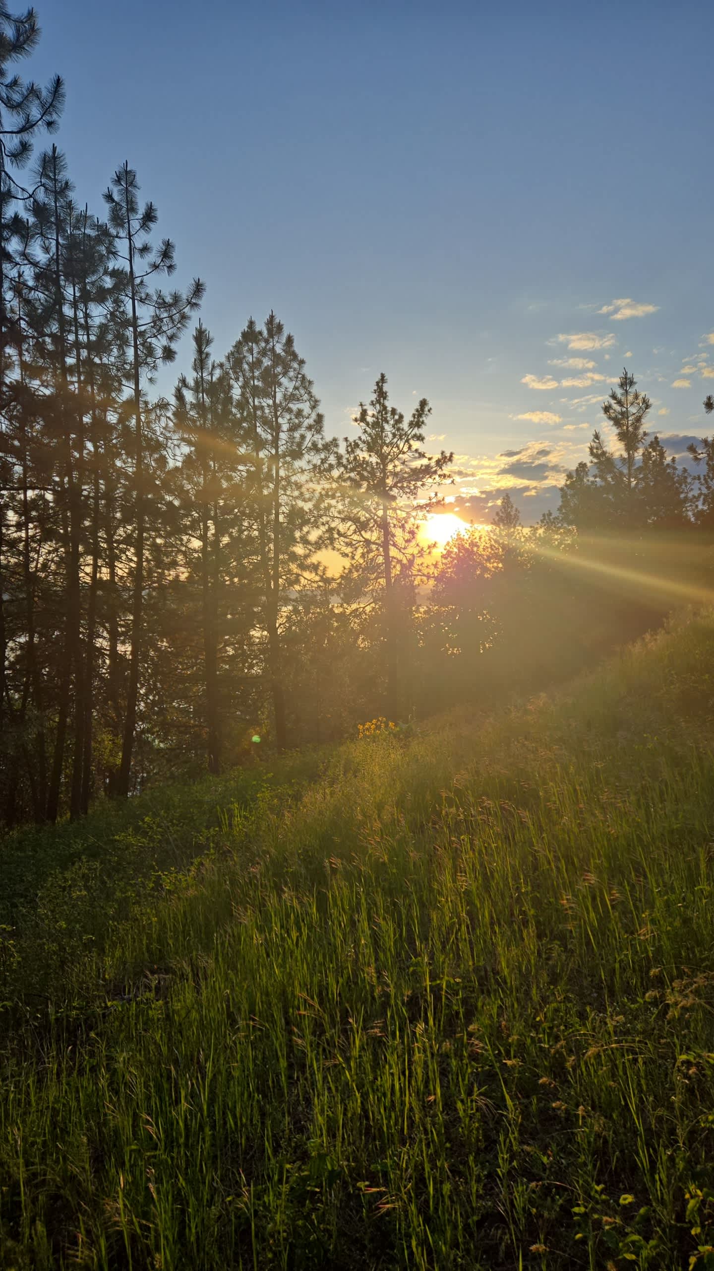 Harrison Bluffs Campground