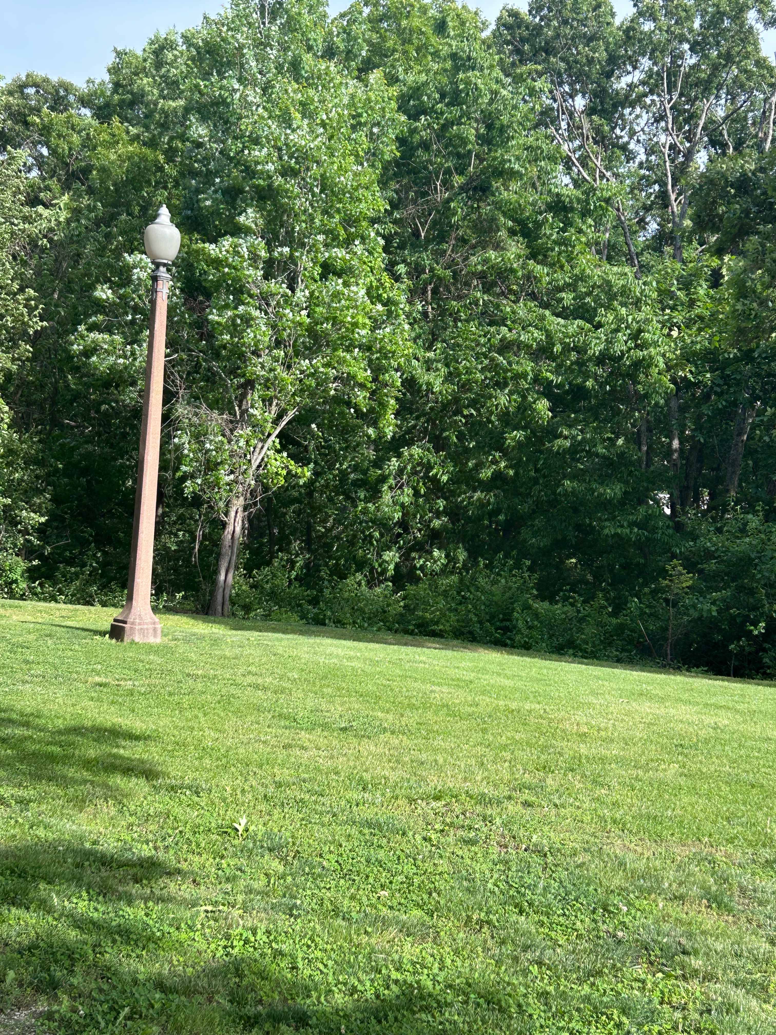 One of the street lights on his property 