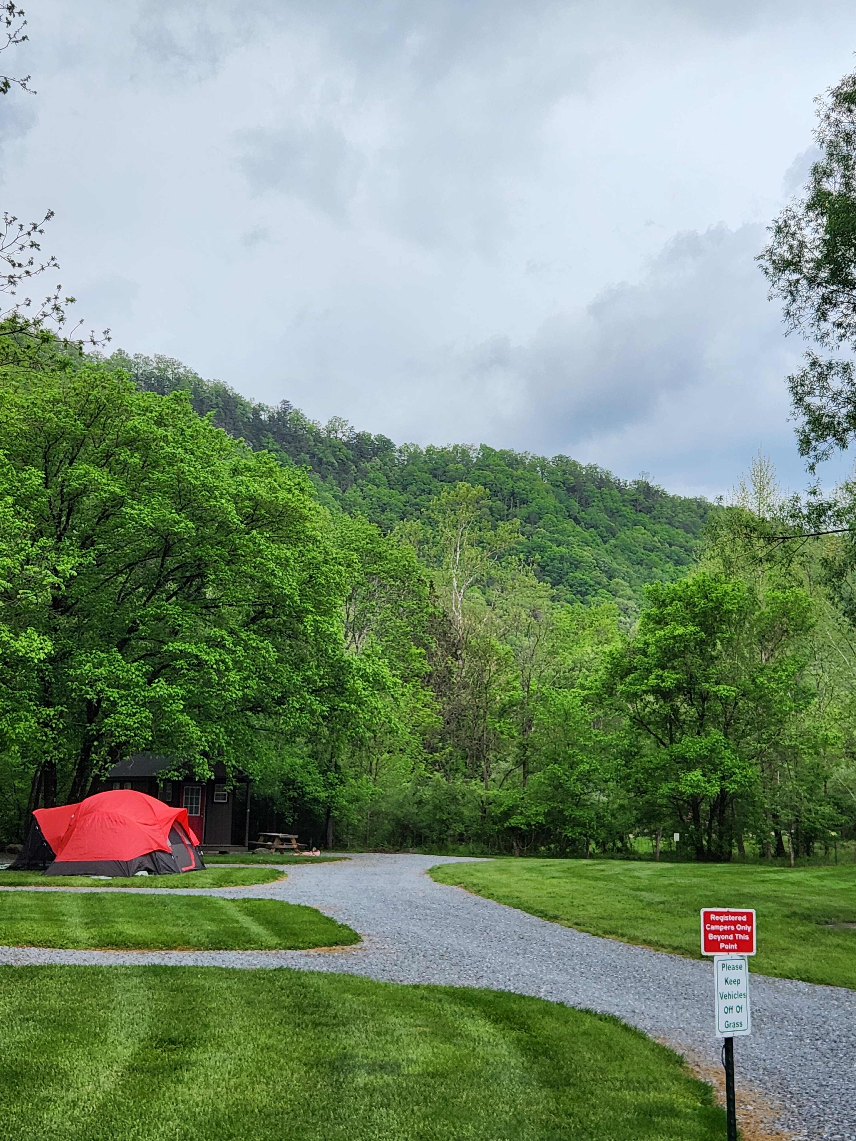Picture of the site