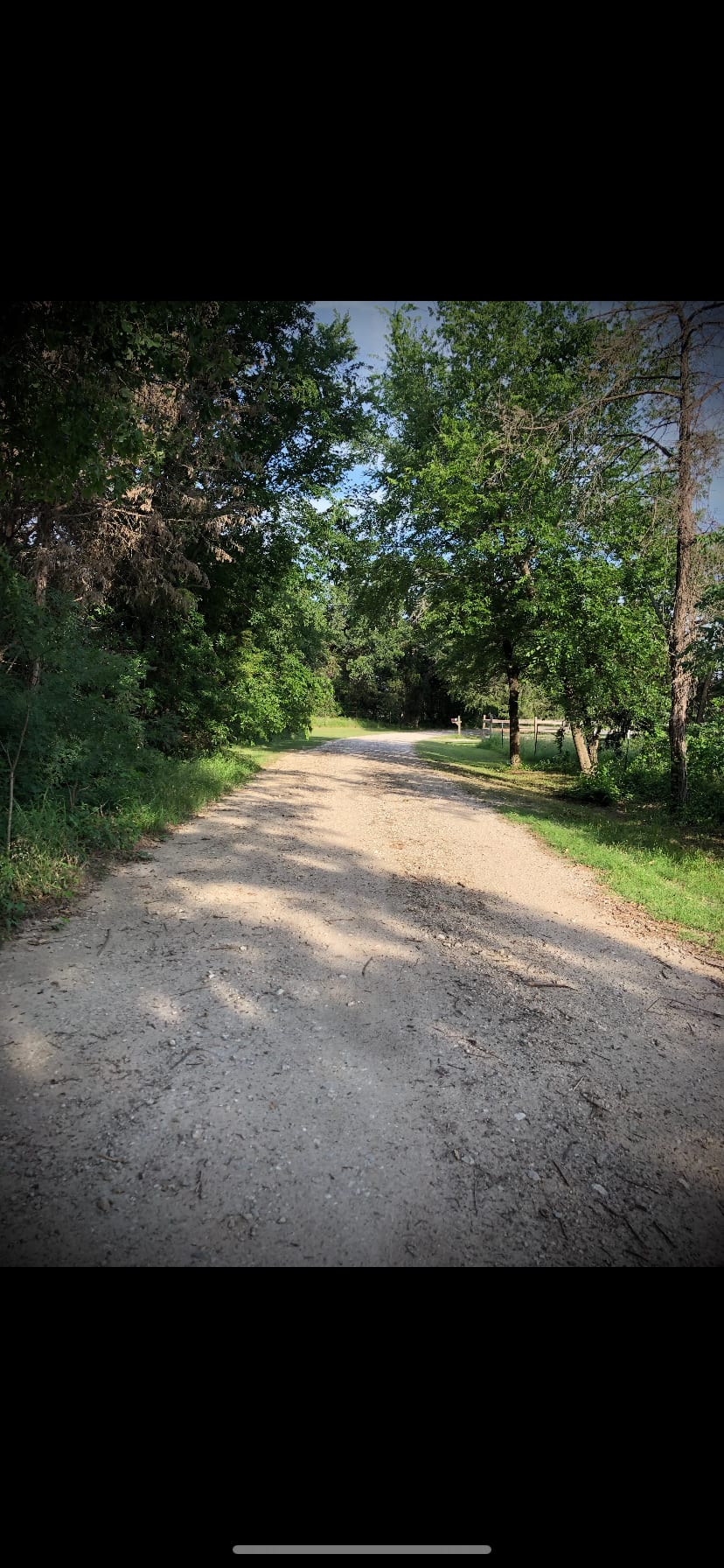 A Quiet Place