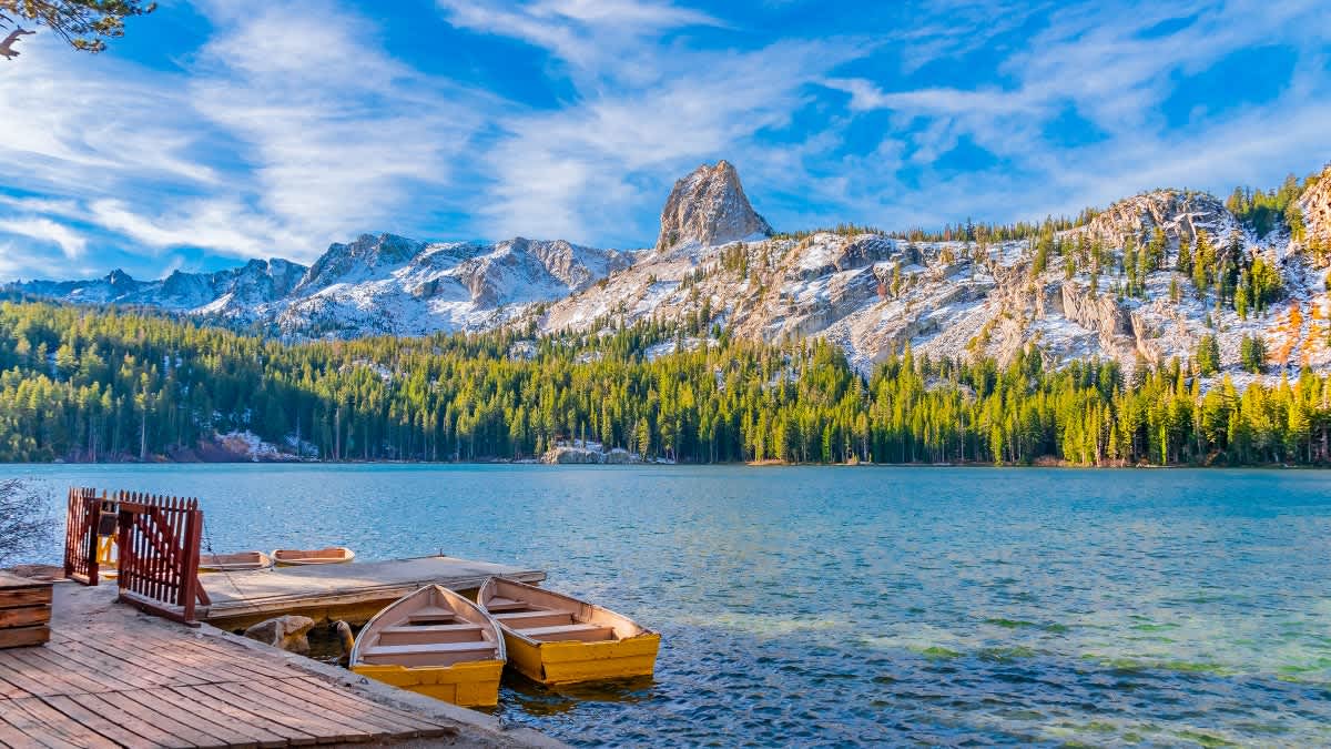 Driftwood RV Park and Campground