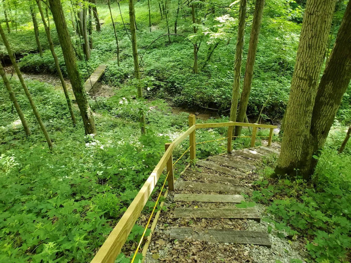 Camp Cullom