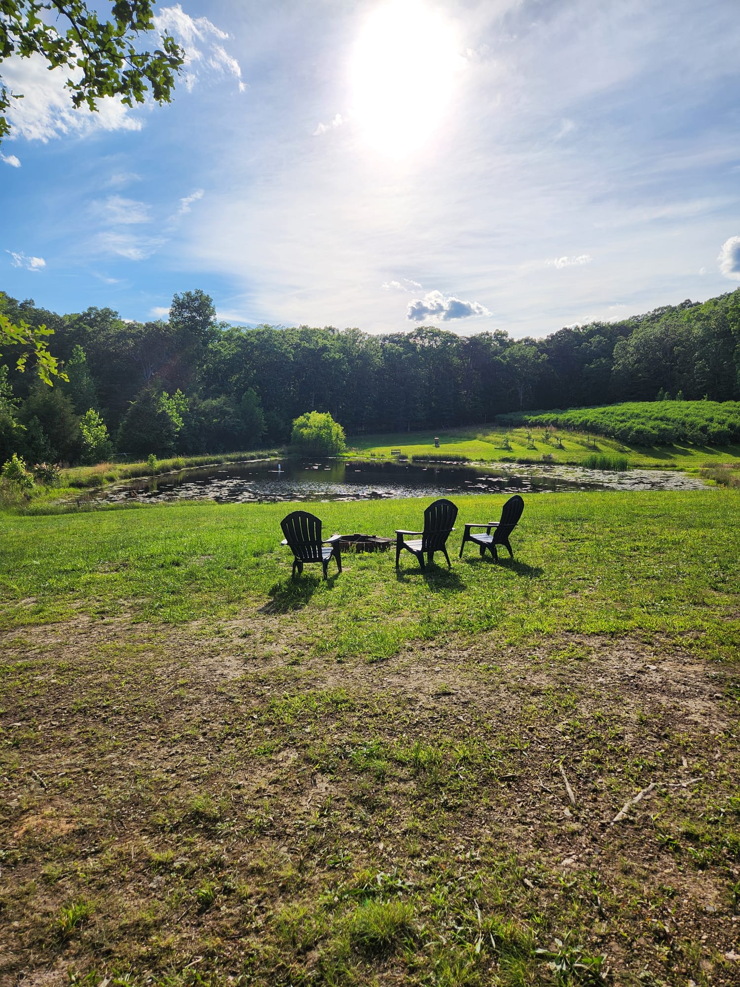 Private meadow and pond