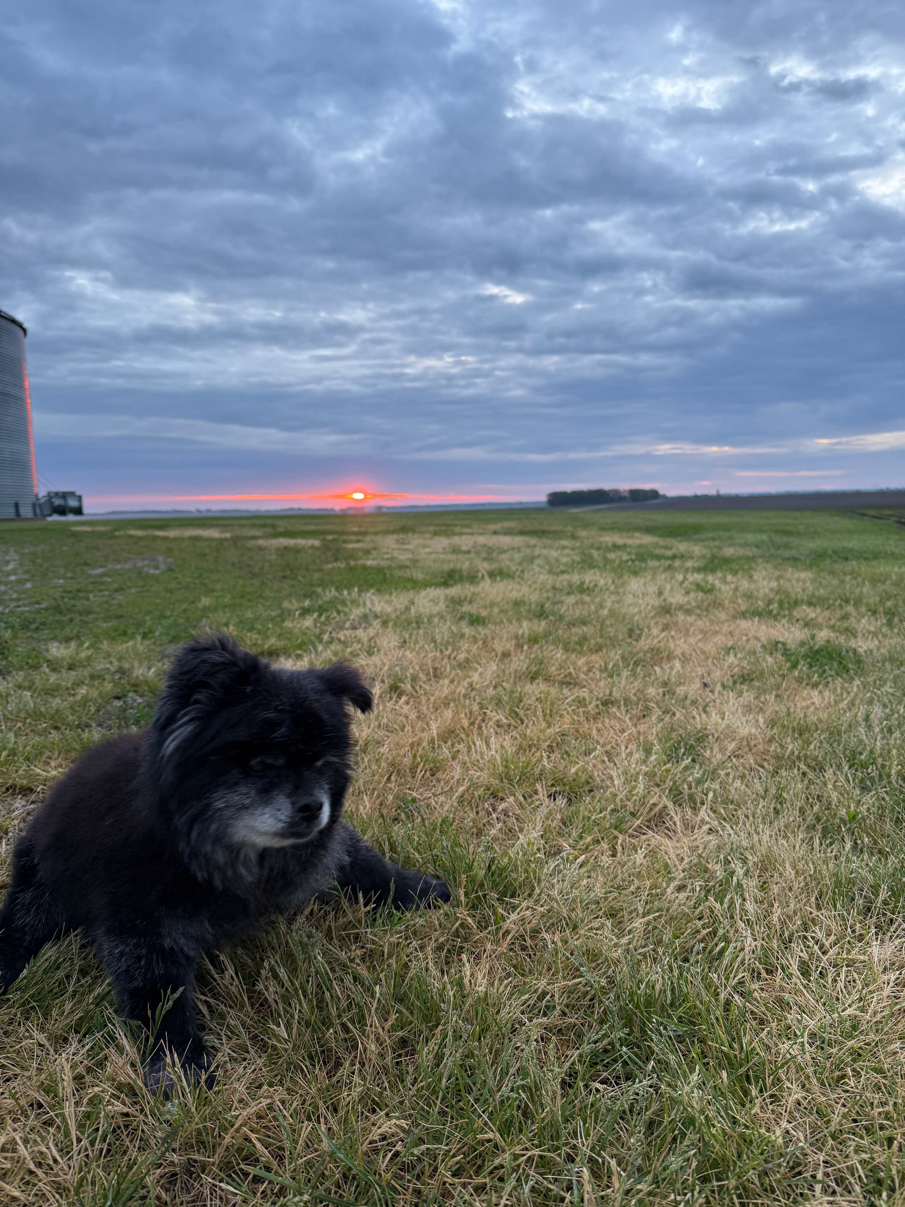 Burkhart Farm