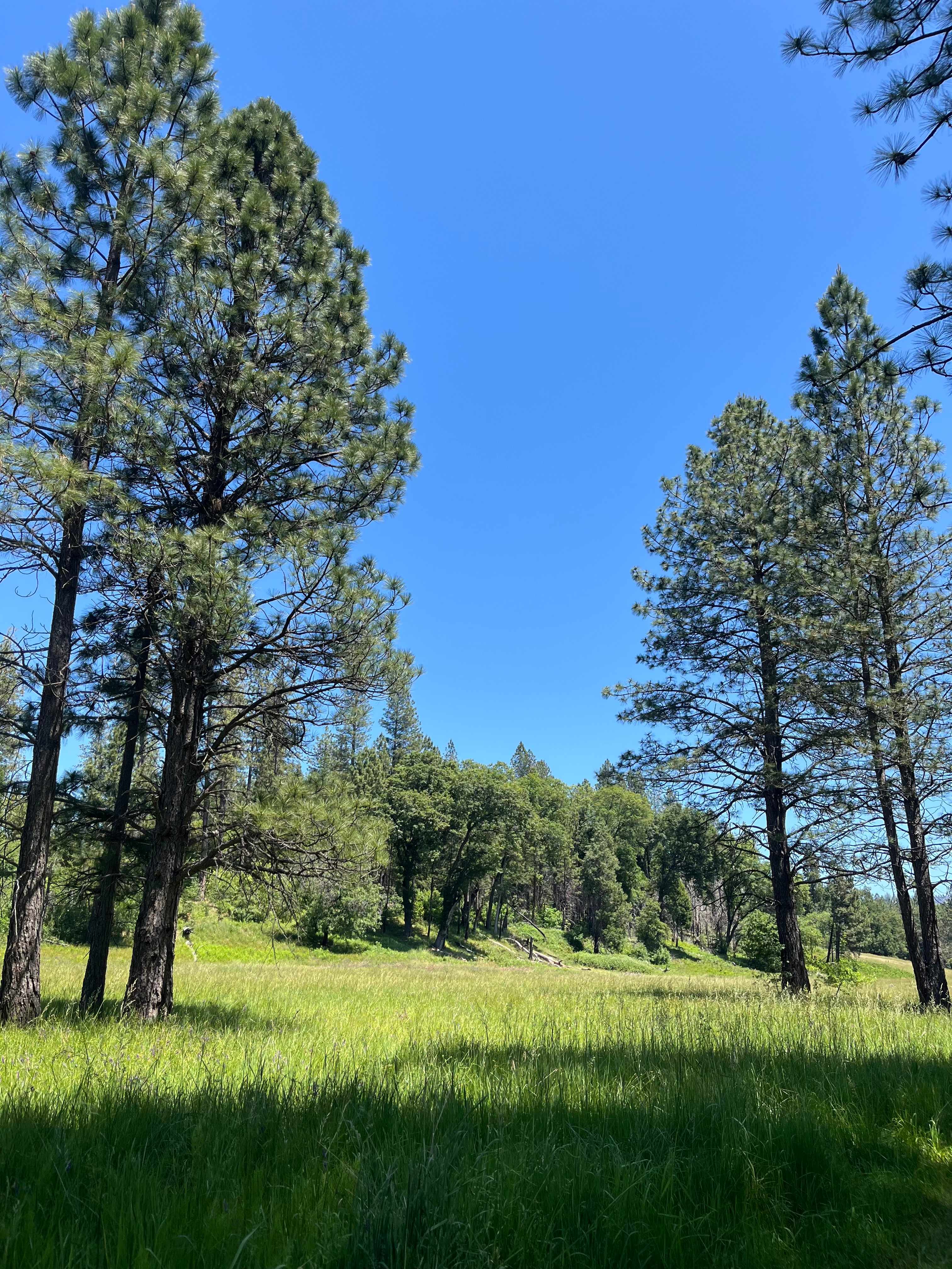 Lake Concow Campground