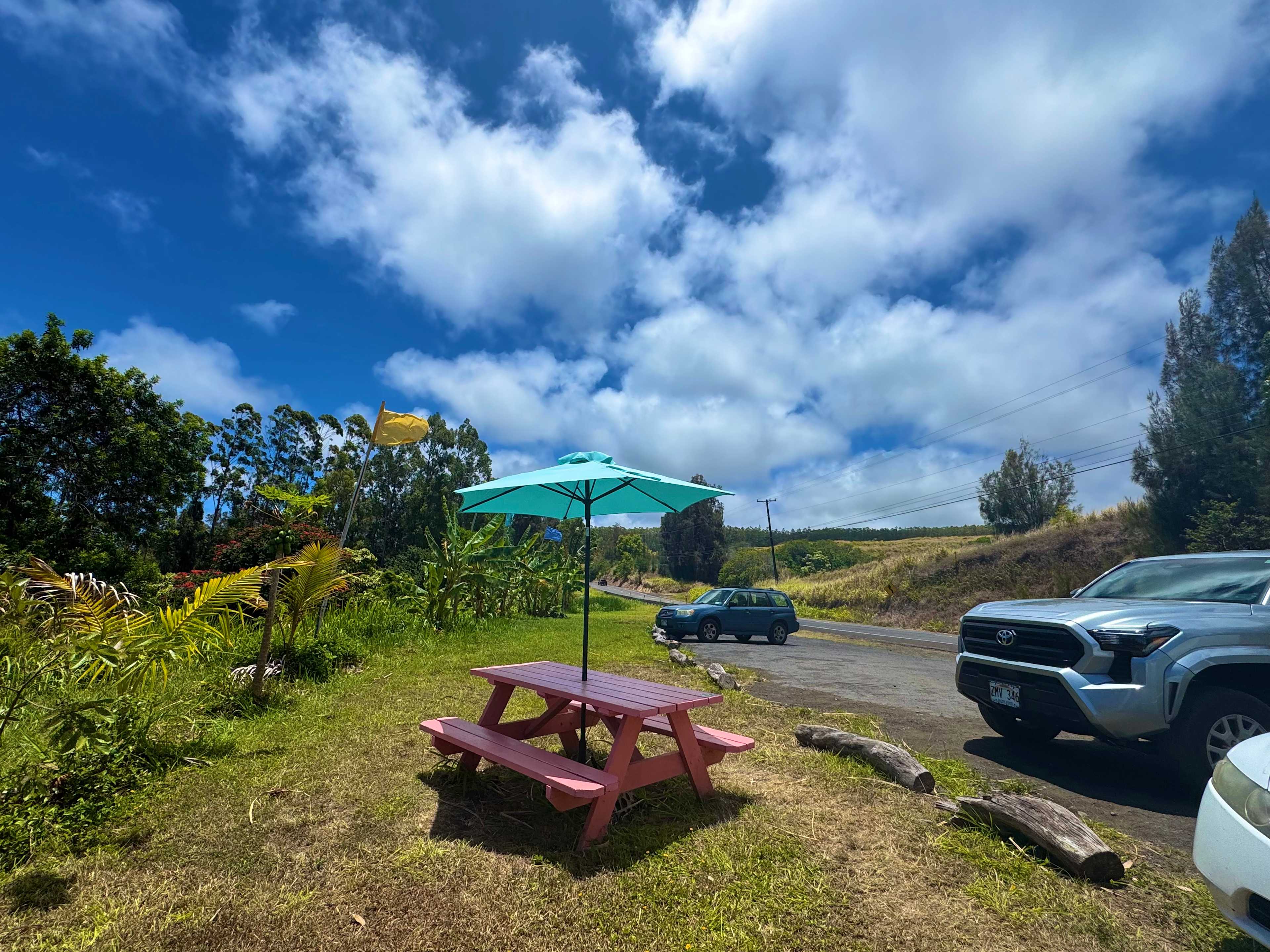 Roadside Fruit Stand Exotic Orchard