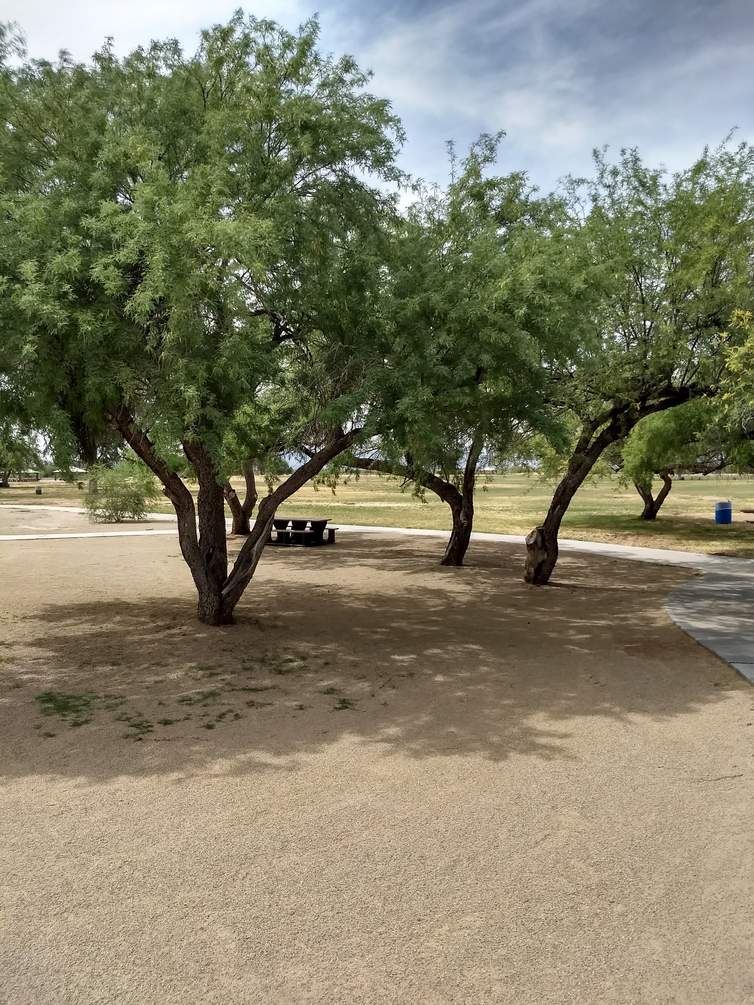 Estrella Mountain Park