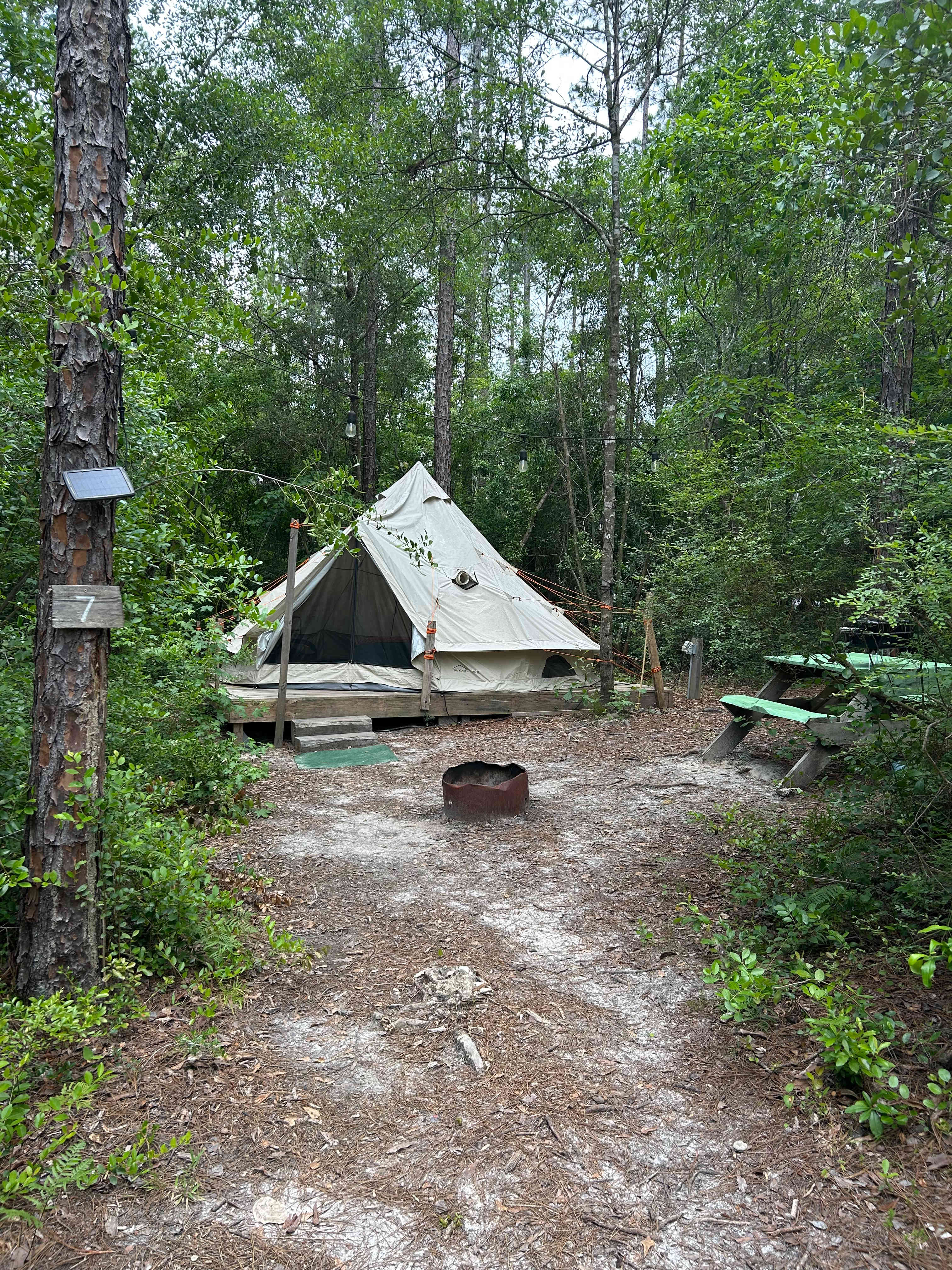 Picture of the site