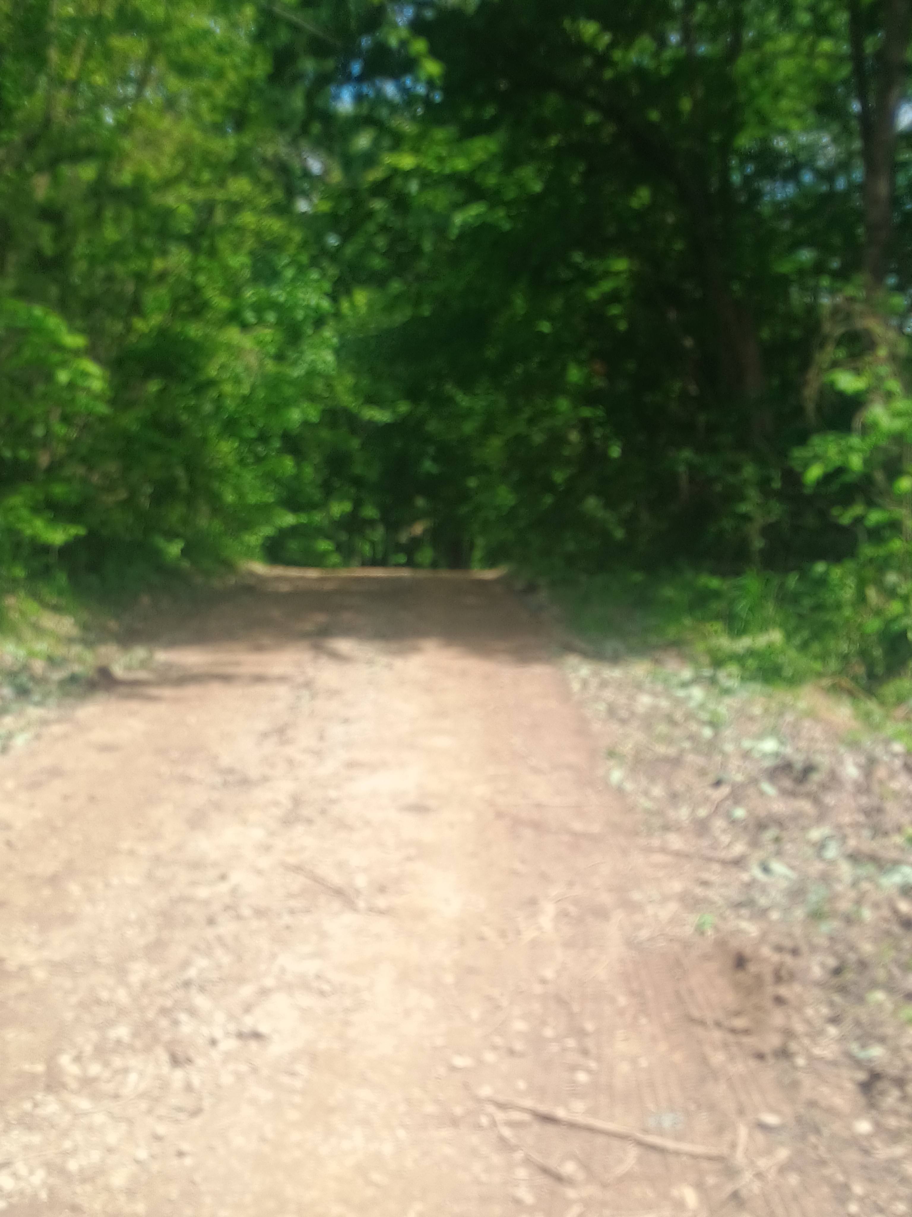 Wild Ridge Campsites