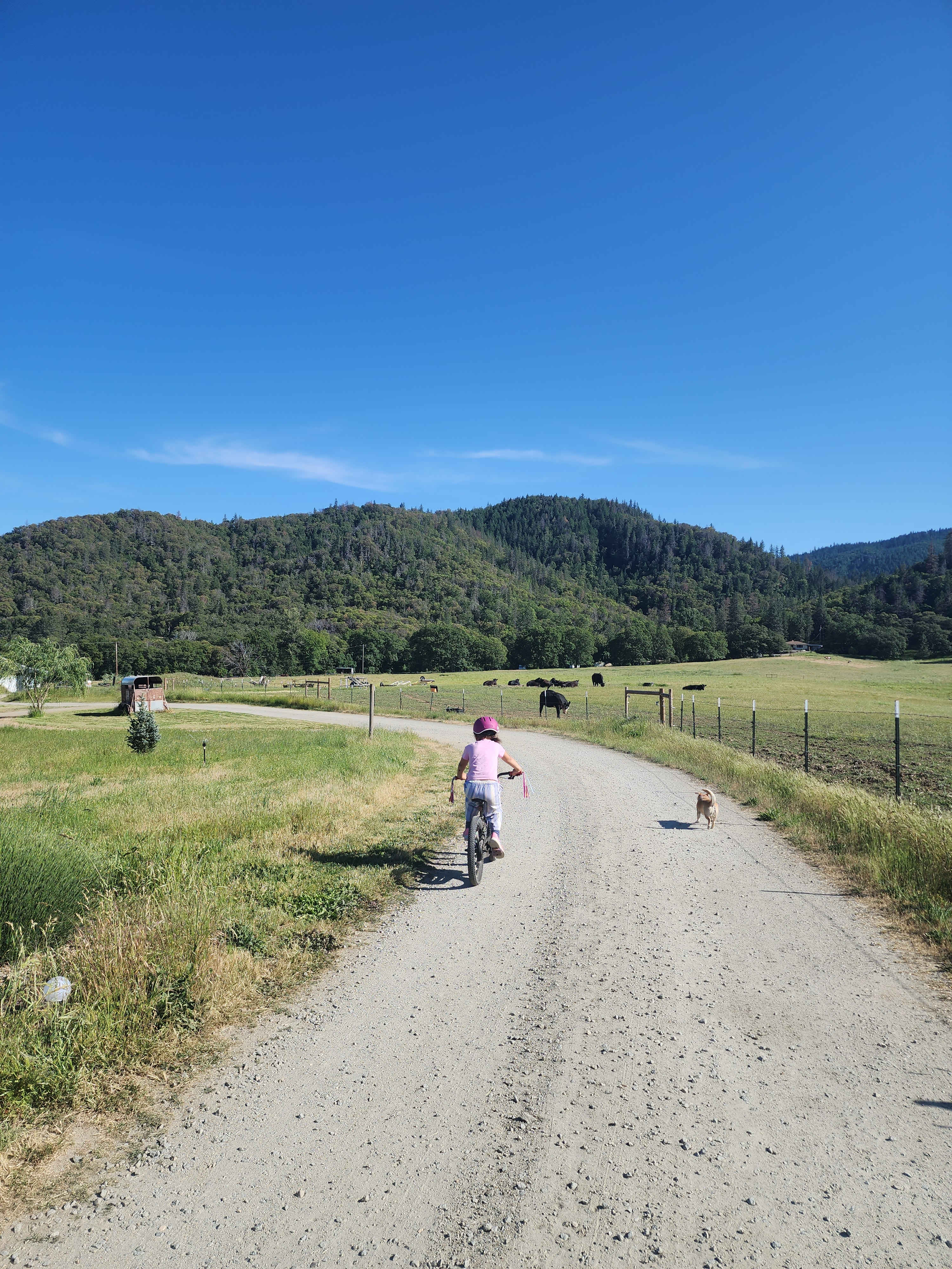 Lane Creek Reserve