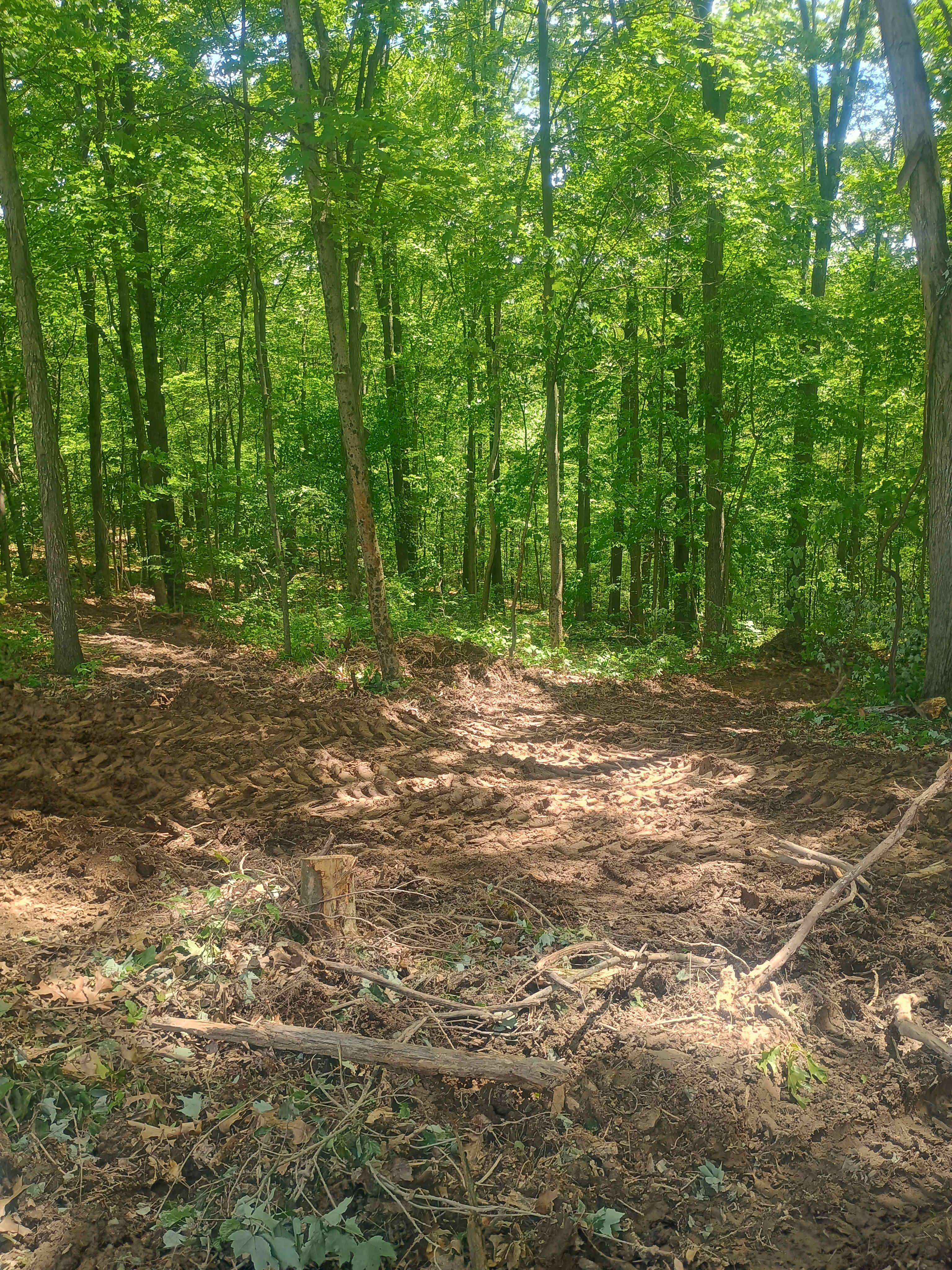 Coming soon Primitive camping ,  campsites , and two expandable houses 