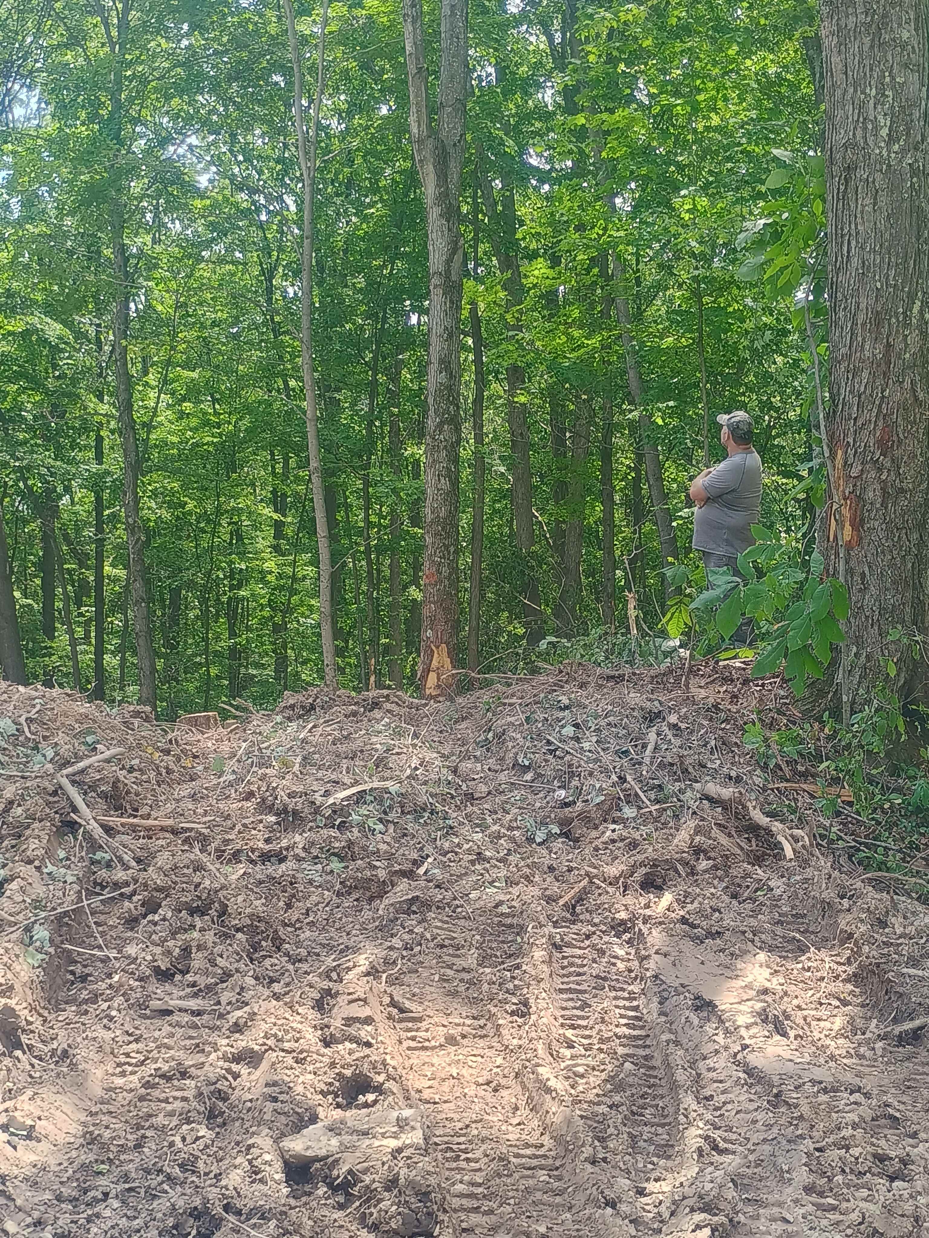 Wild Ridge Campsites