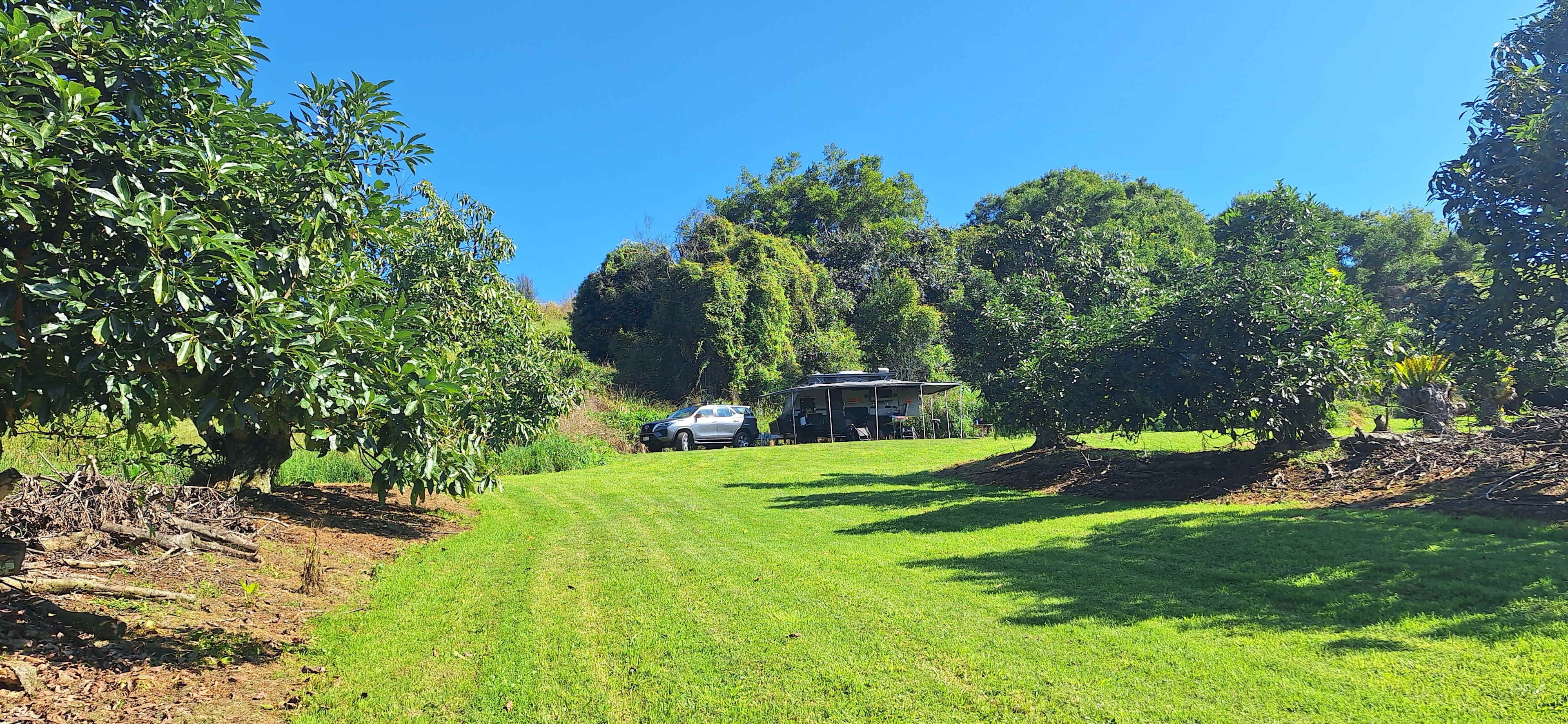 Tremayne - The Old Avocado Farm