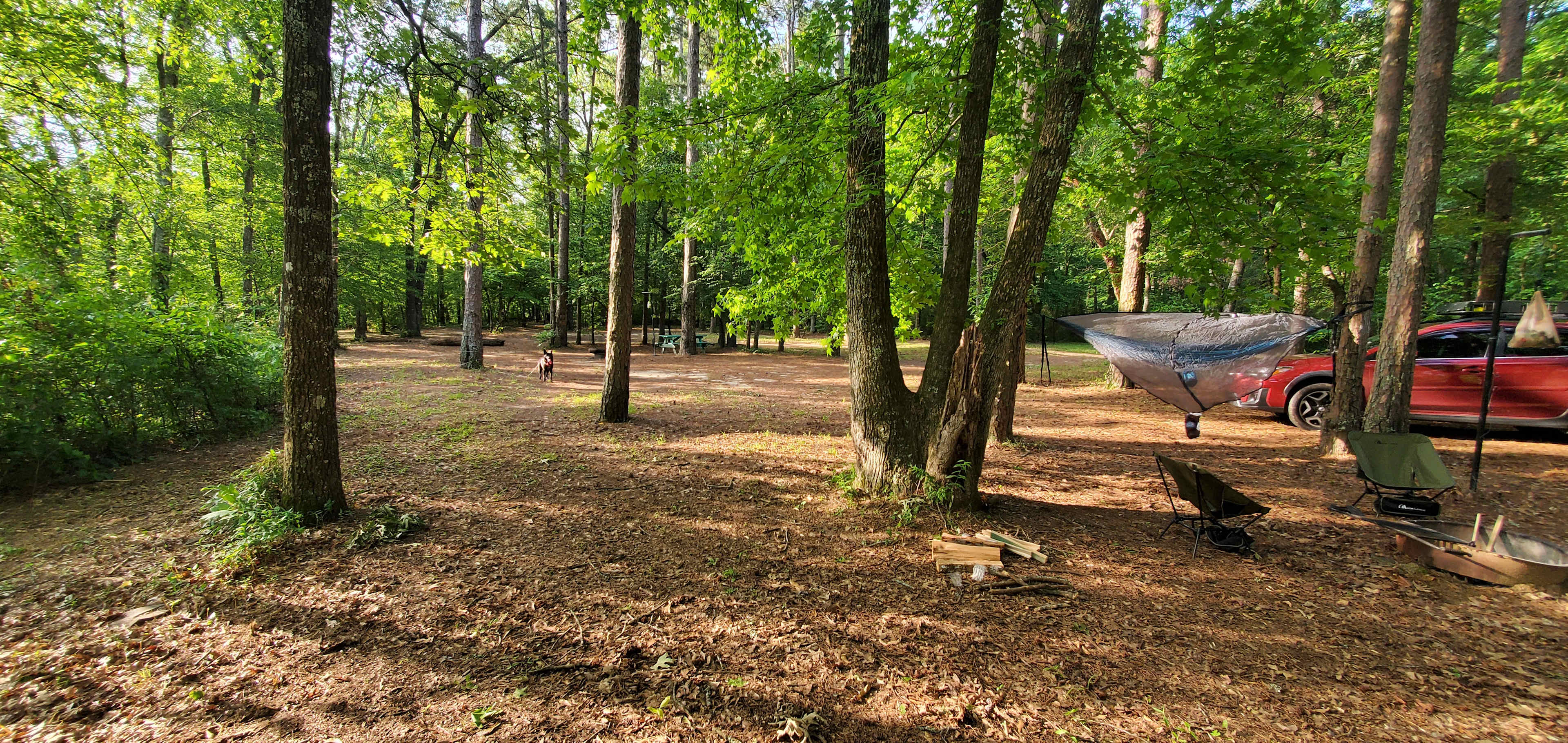 Pinnacle Springs Recreational Park