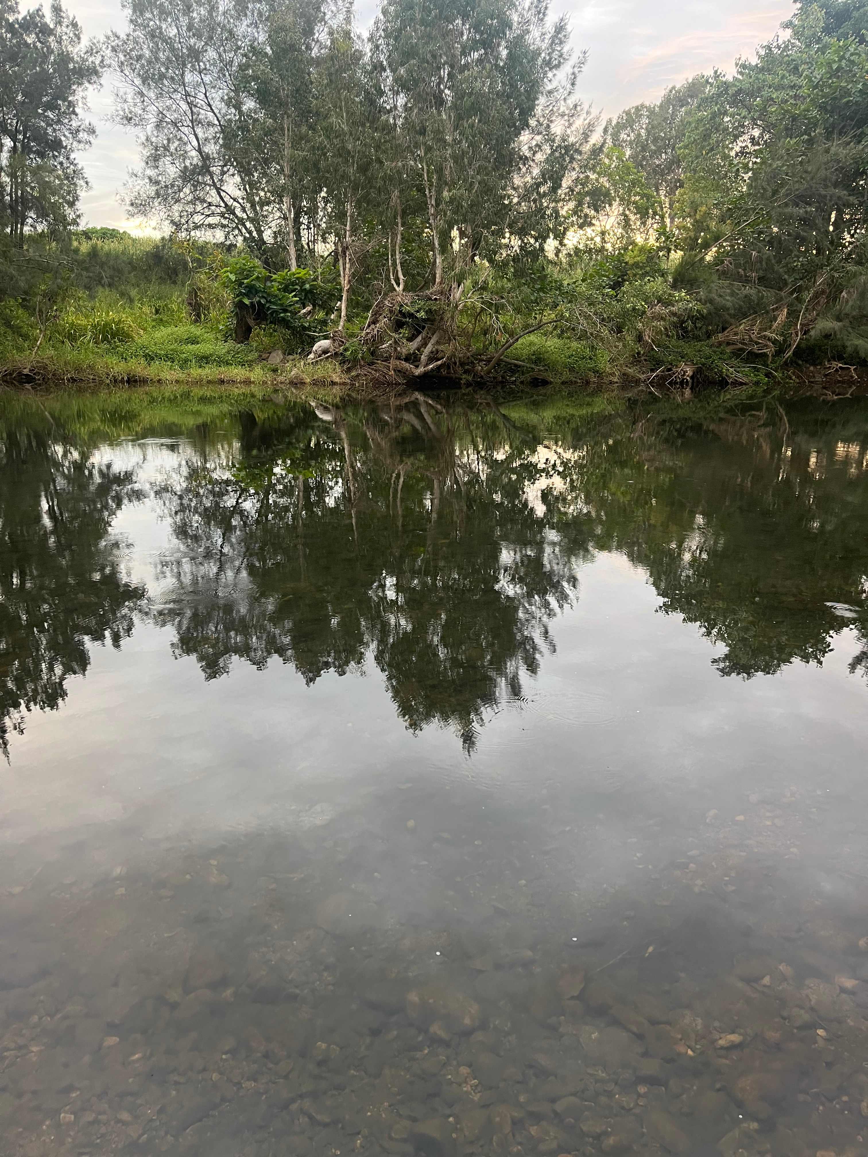 Creek and Antique Camping