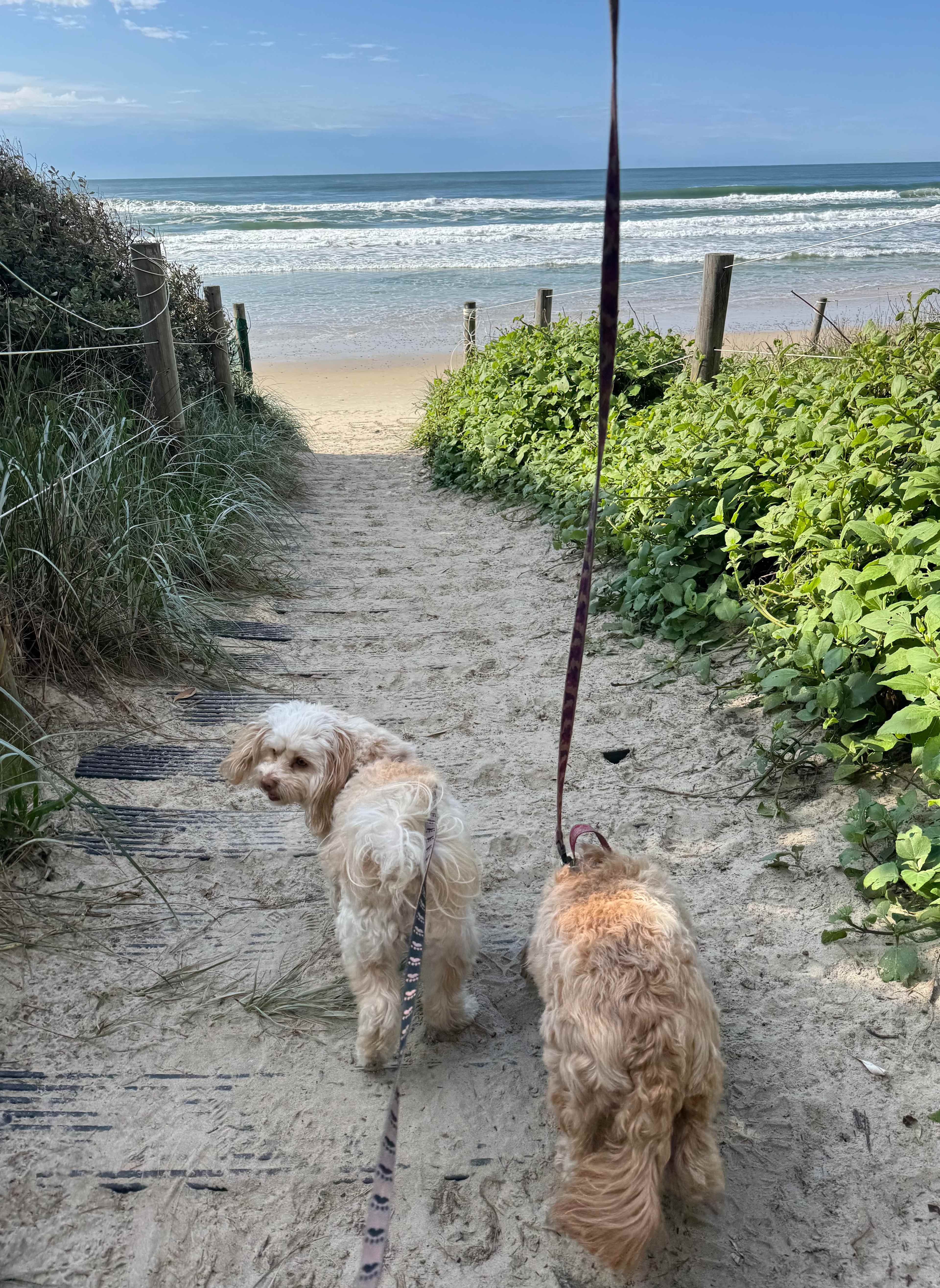 This is the walkway to the beach - on about 7mins walk from the beach access gate 