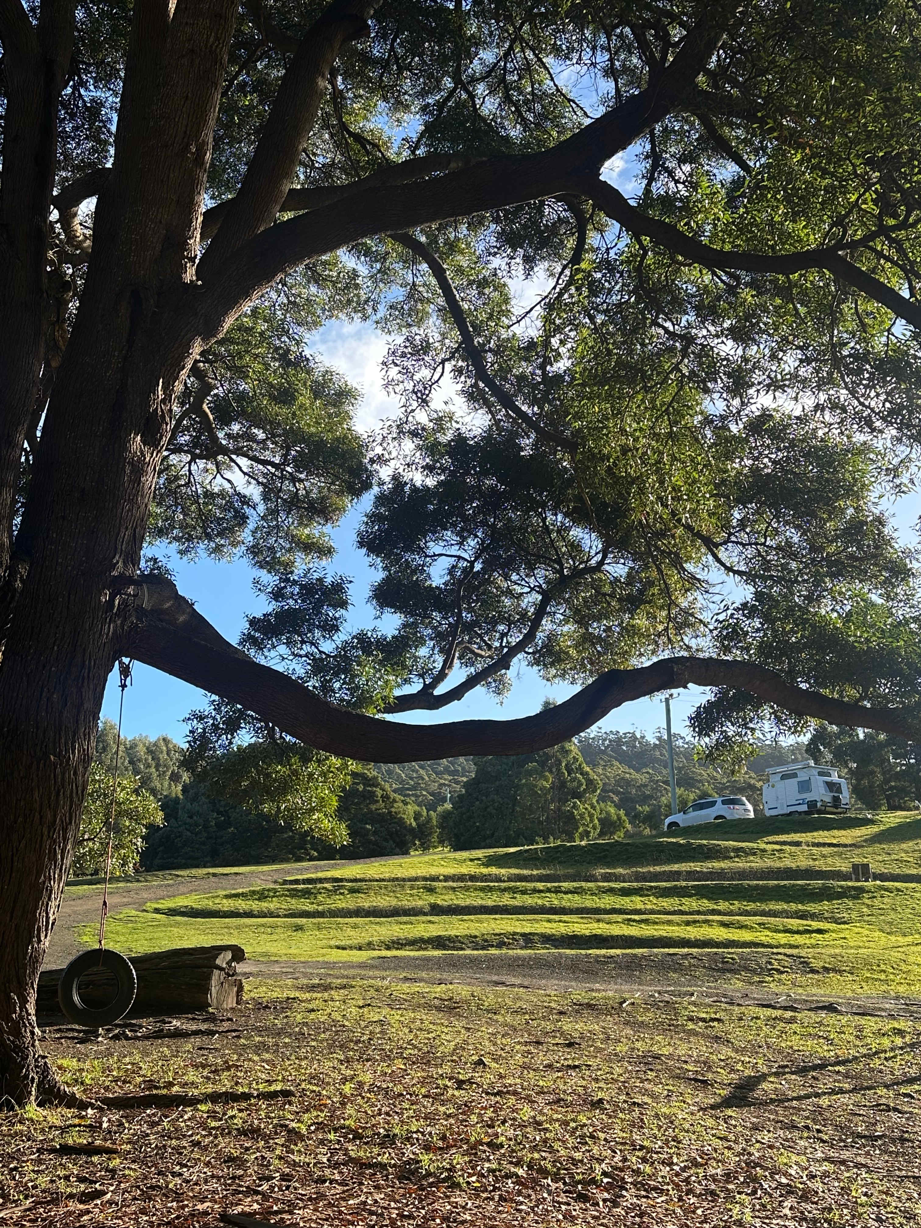 Semaphore Farm